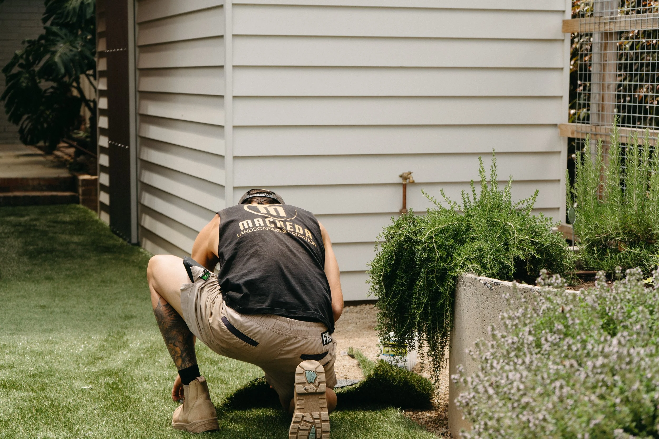 A man kneeling on grass near a garden bed, tending to plants.