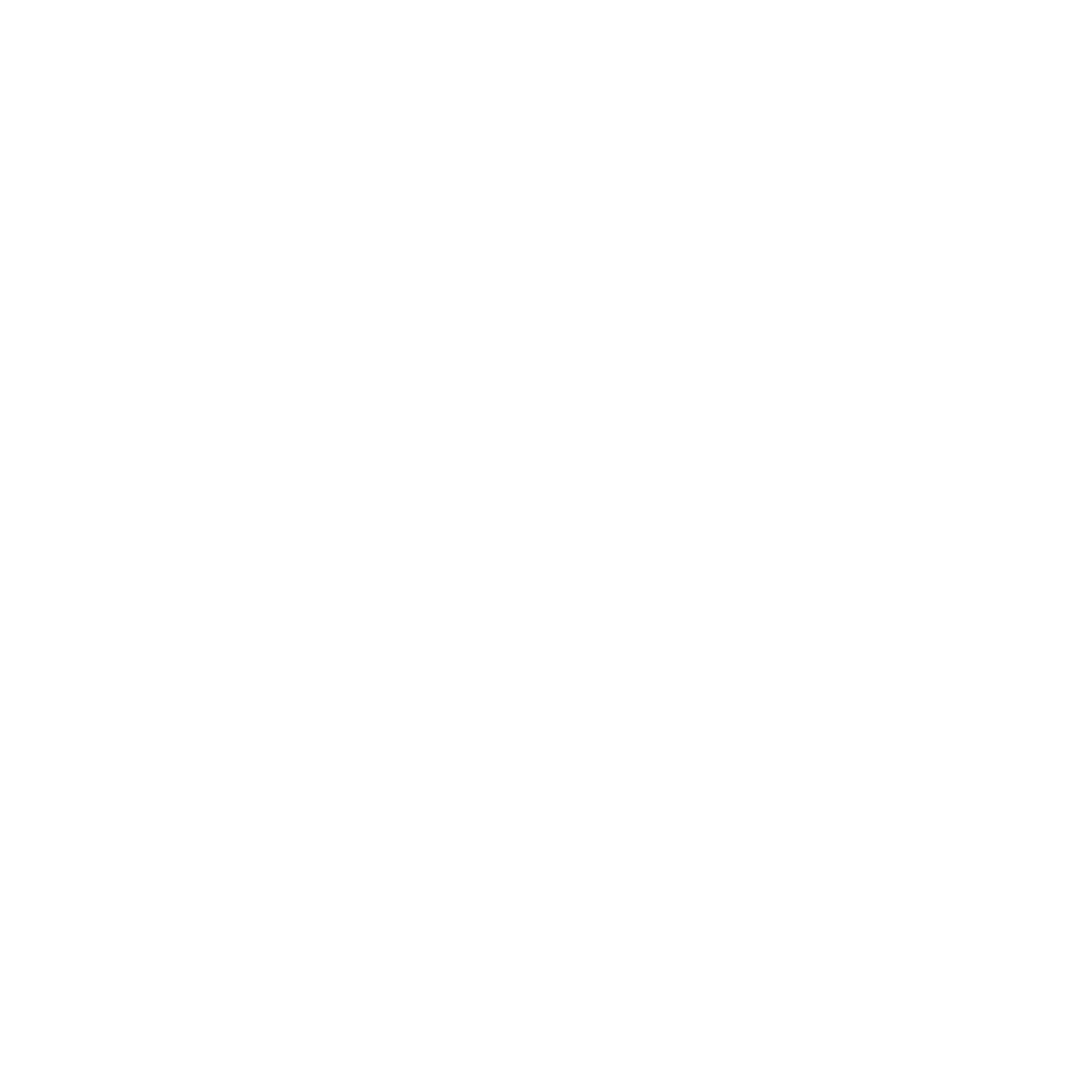 White distressed, circular text spelling "Project 21 Detailing" with central roundel.