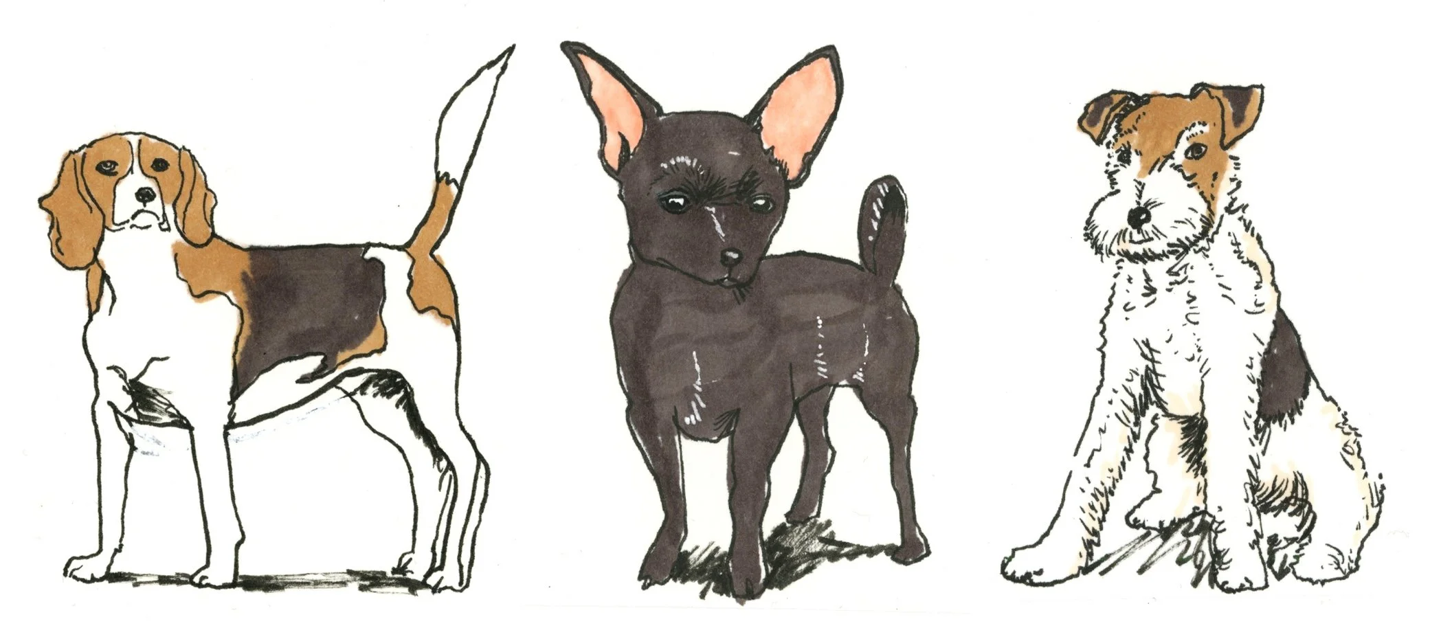 PetSketchGroupColor1.jpg