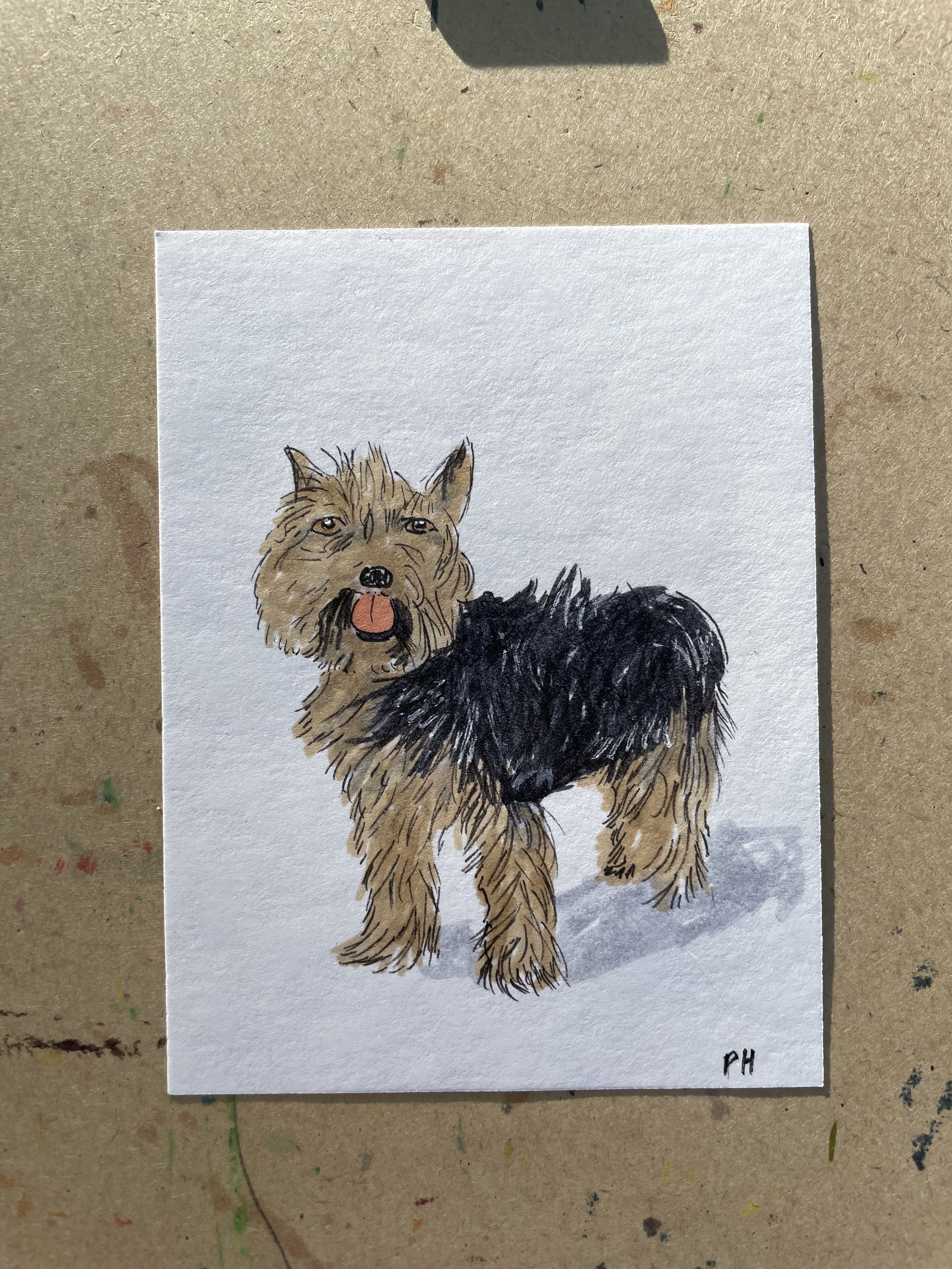 Pet Sketch