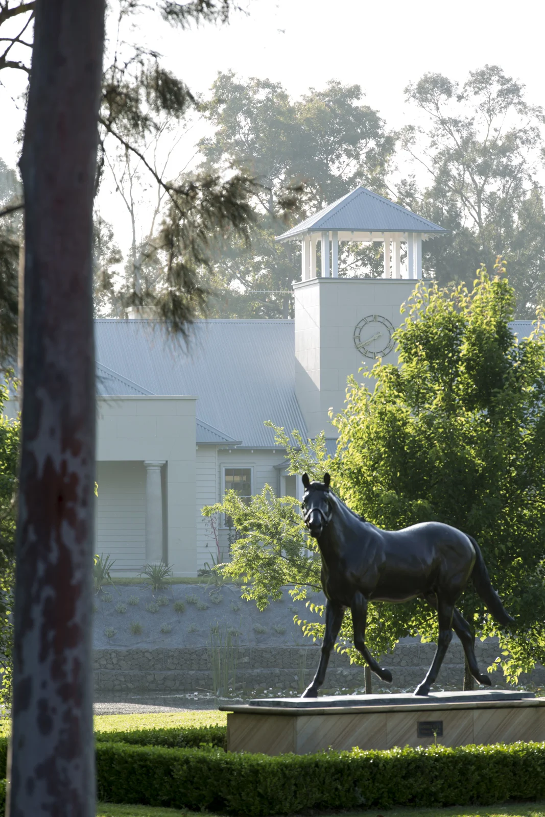 MBA_Coolmore_0791.jpg