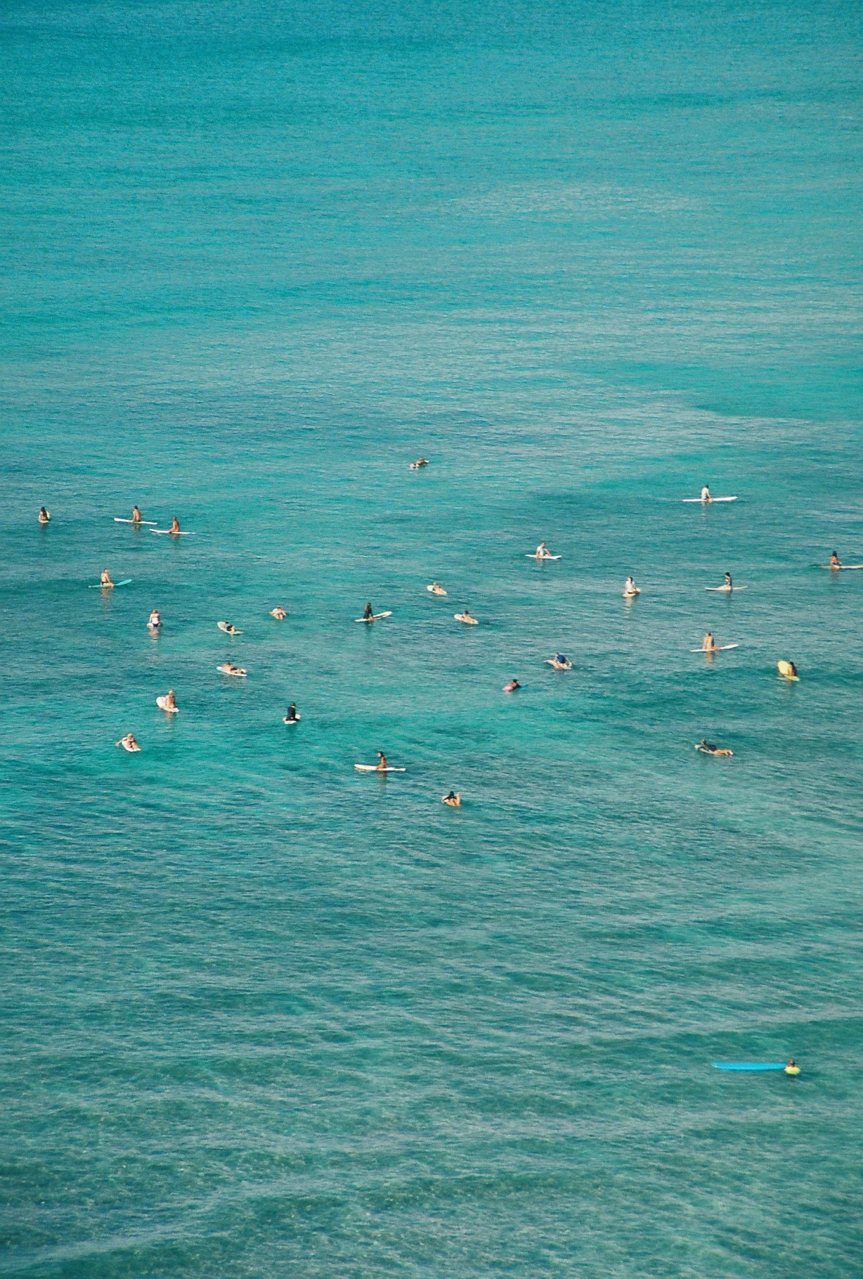 surfers-waikiki.JPG