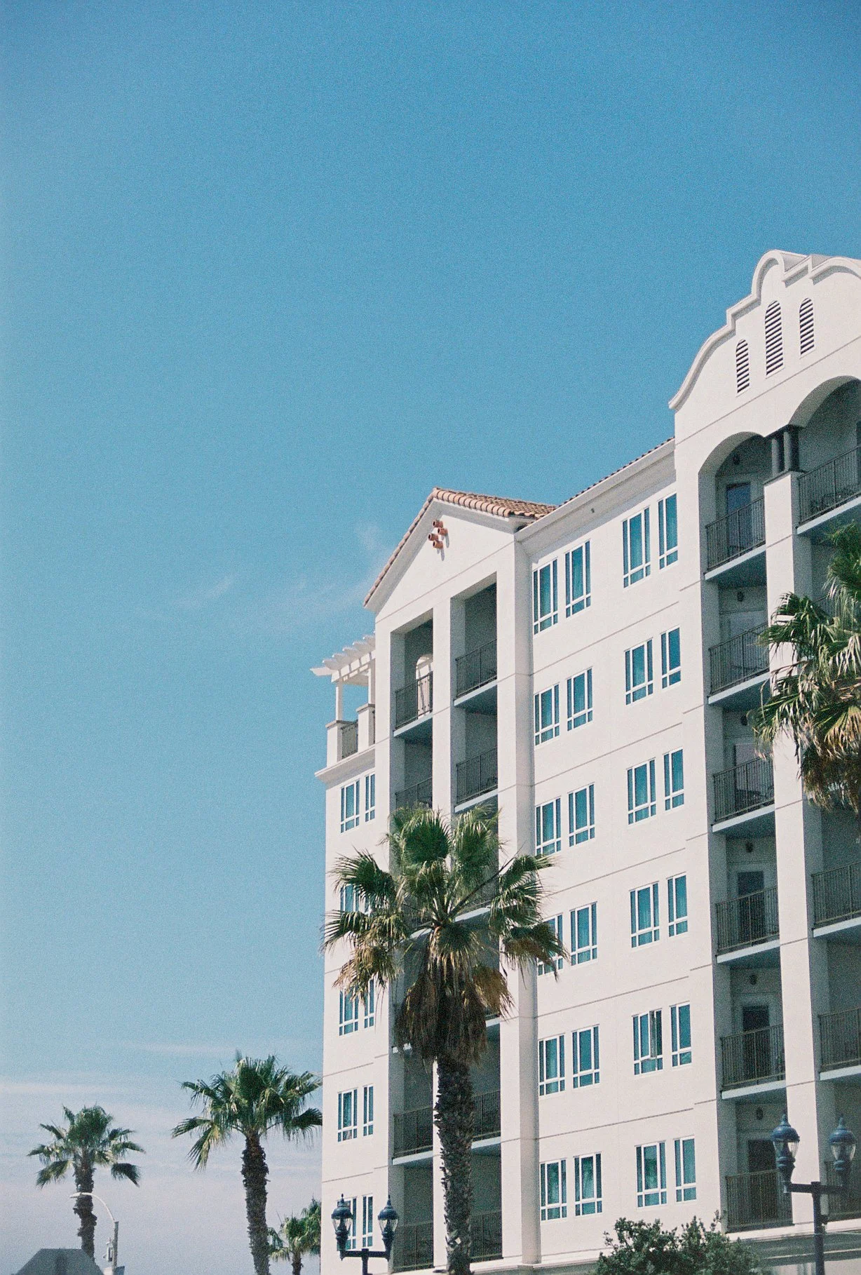 1abbeyjophotos-1.jpg
