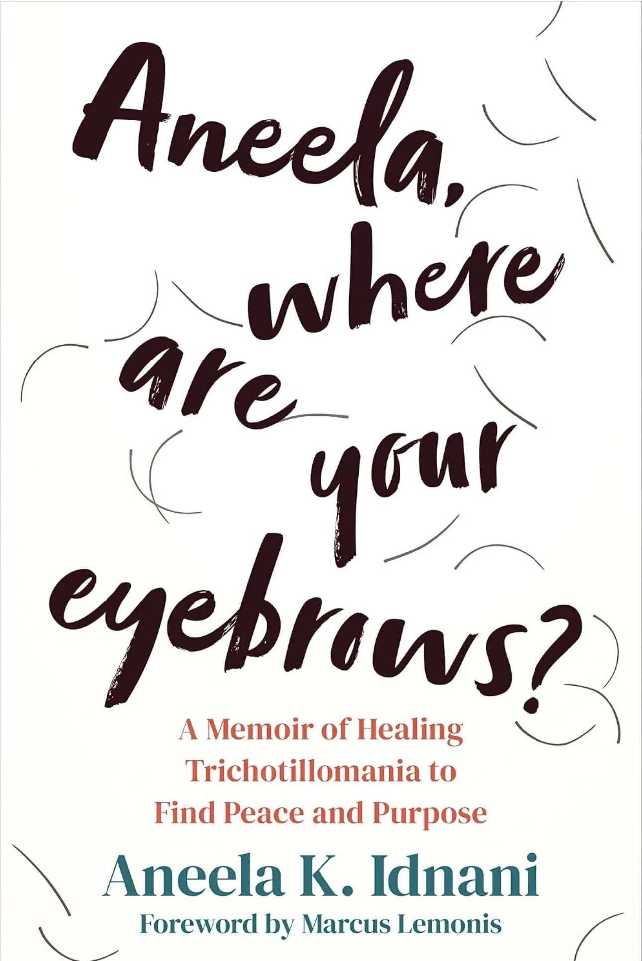 Aneela, Where Are Your Eyebrows by Aneela K. Idnani