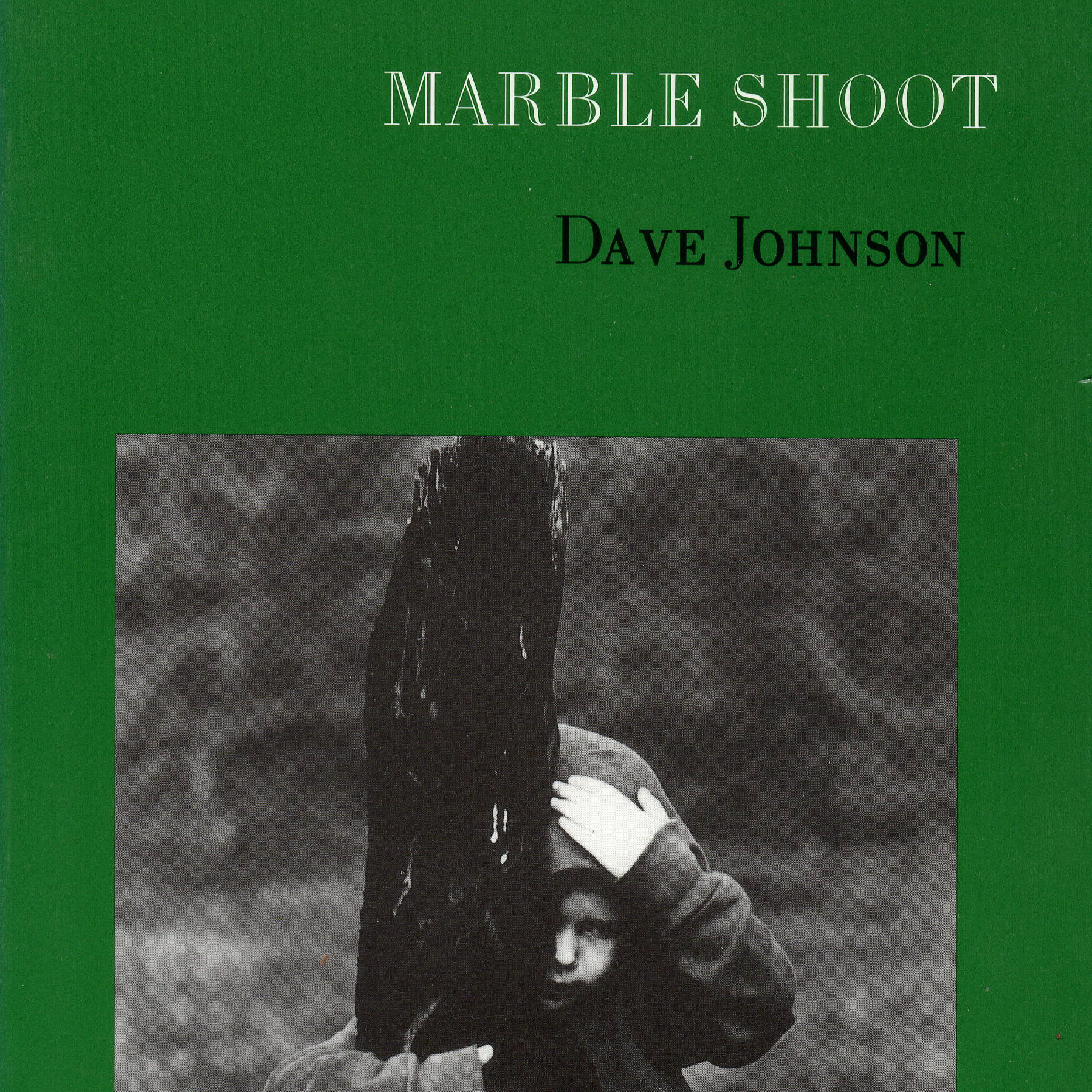 Marble Shoot book cover