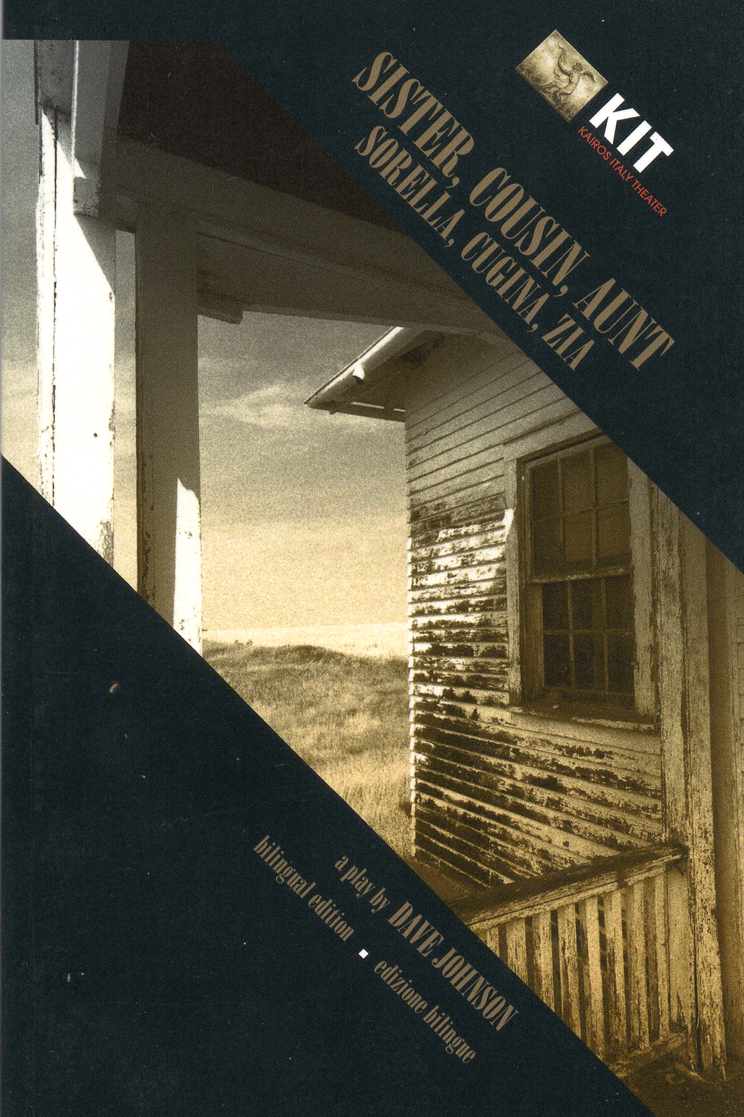 Sister, Cousin, Aunt cover