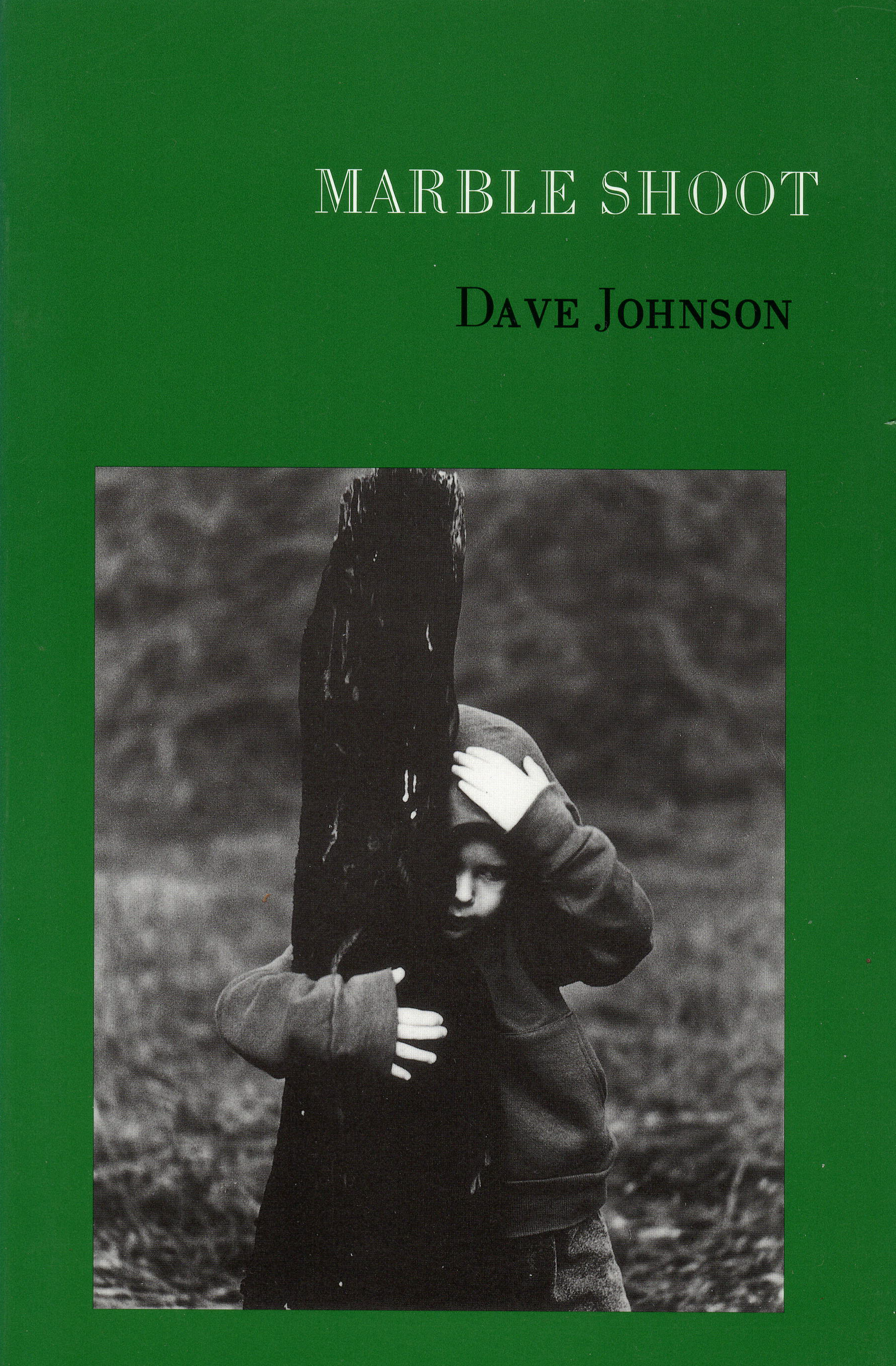 Marble Shoot, the first book of poems by author Dave Johnson