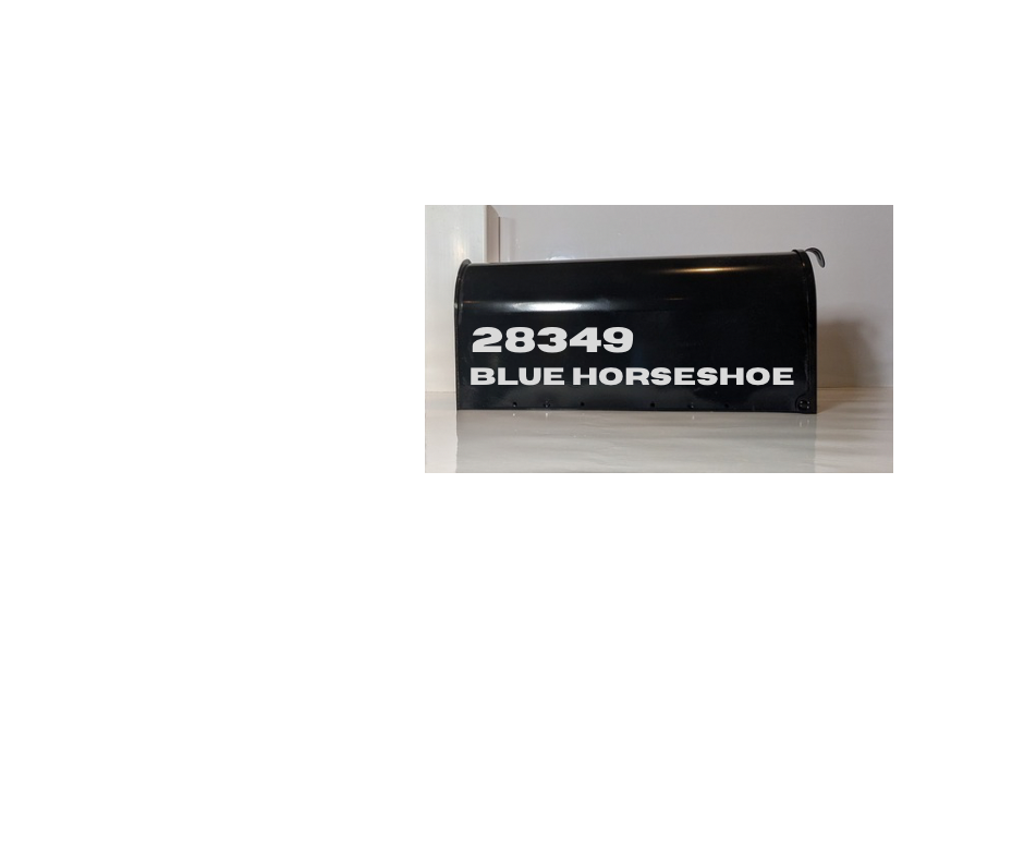 BLUE HORSESHOE.png