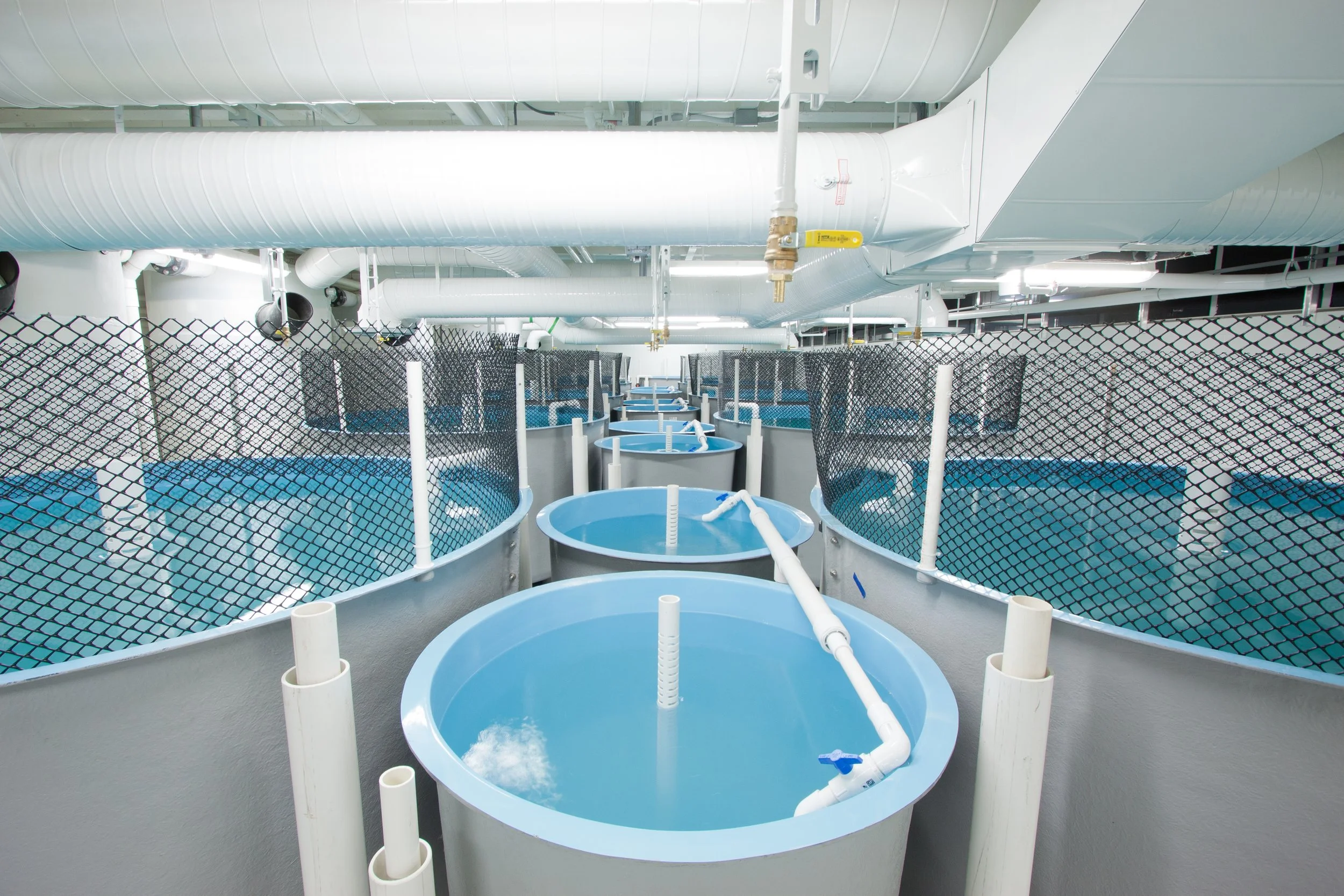 Industries & Applications | Perma-Bead® Filtration Media