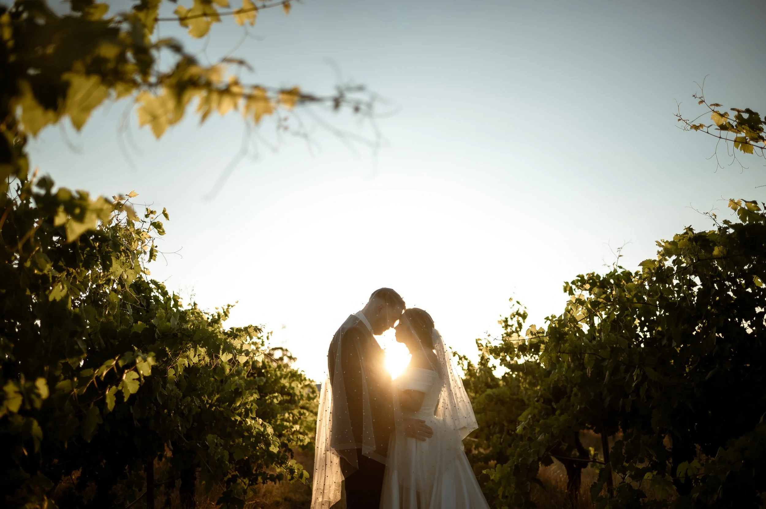 DSC_7534A&B.jpg