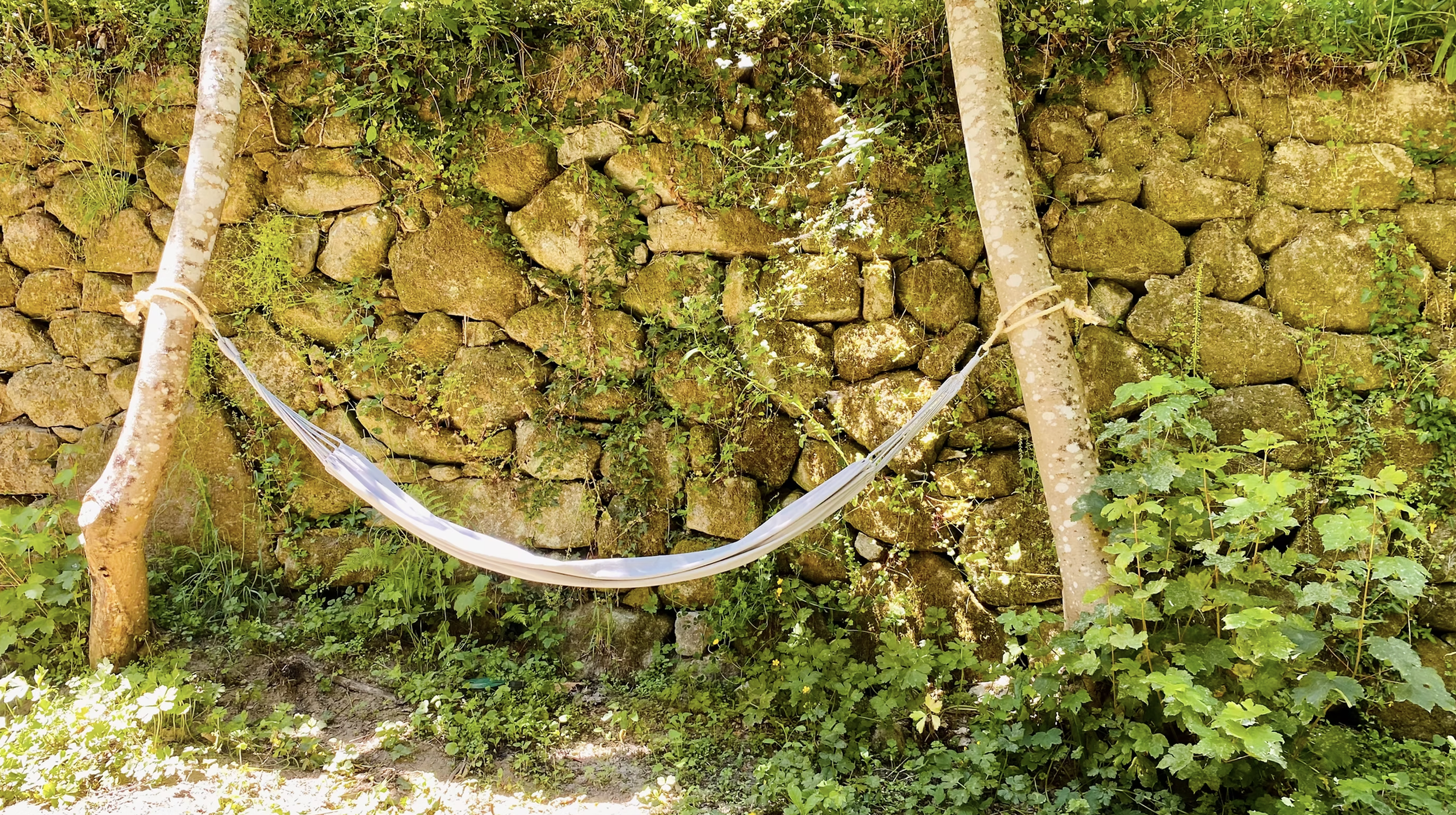 Screenshot 2026-03-09 at 6.07.04 PM.png