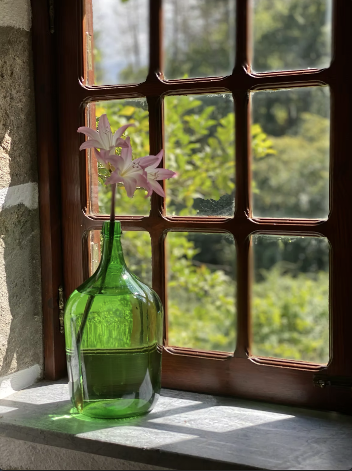 Screenshot 2026-03-09 at 11.05.59 PM.png