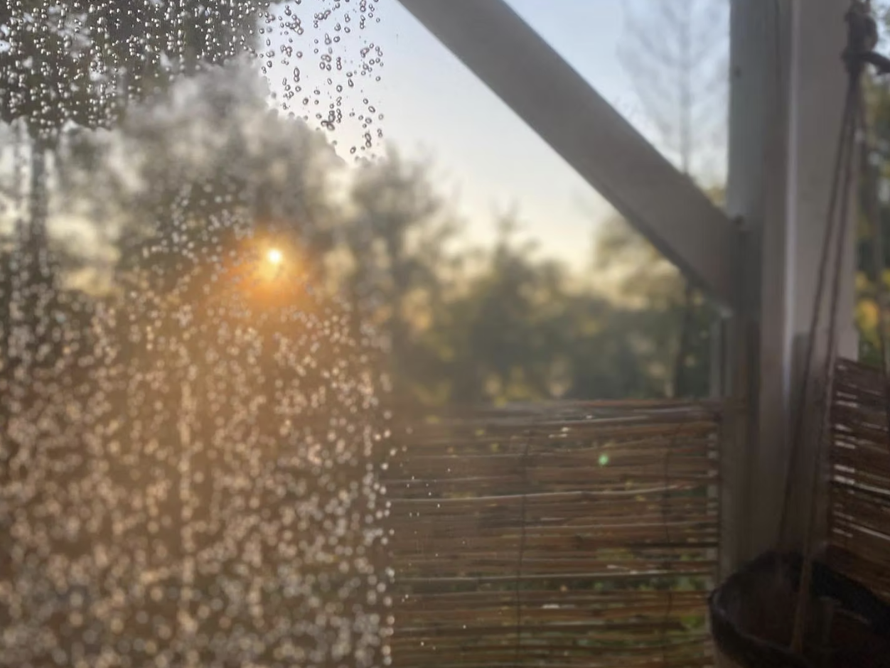 Screenshot 2026-03-09 at 11.19.04 PM.png