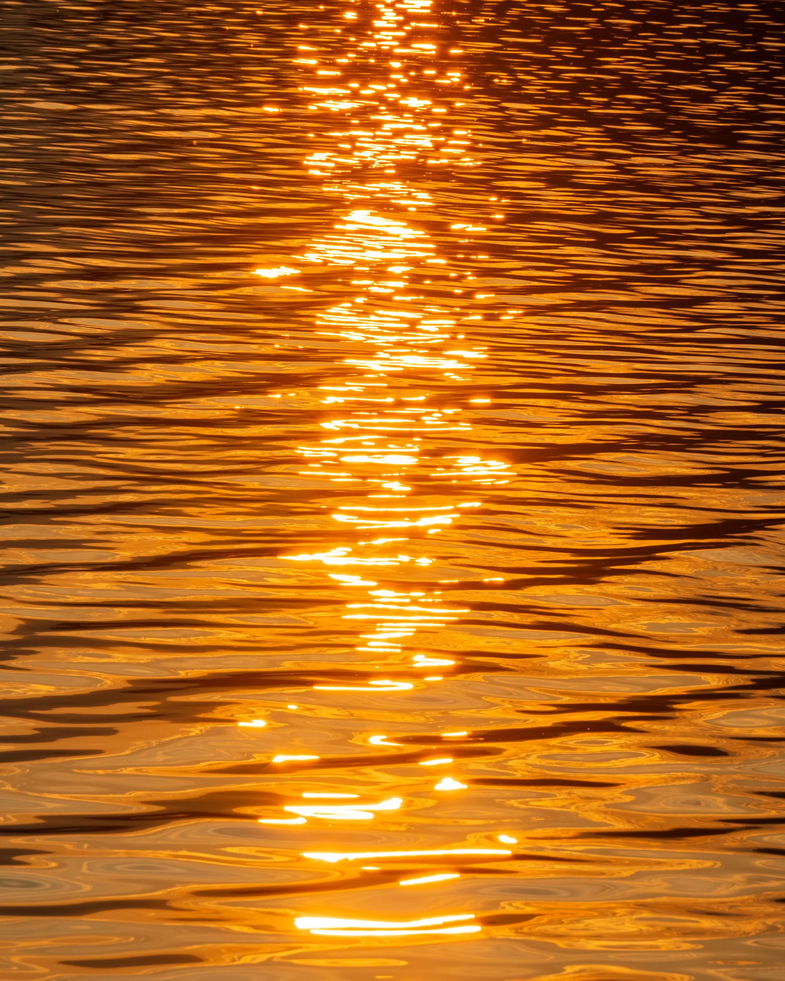 Sunset reflecting off a body of water, creating golden ripples.
