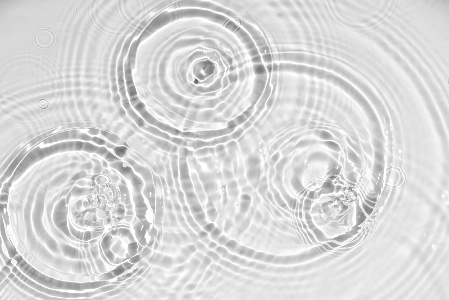 The Scan — perfeQTion imaging