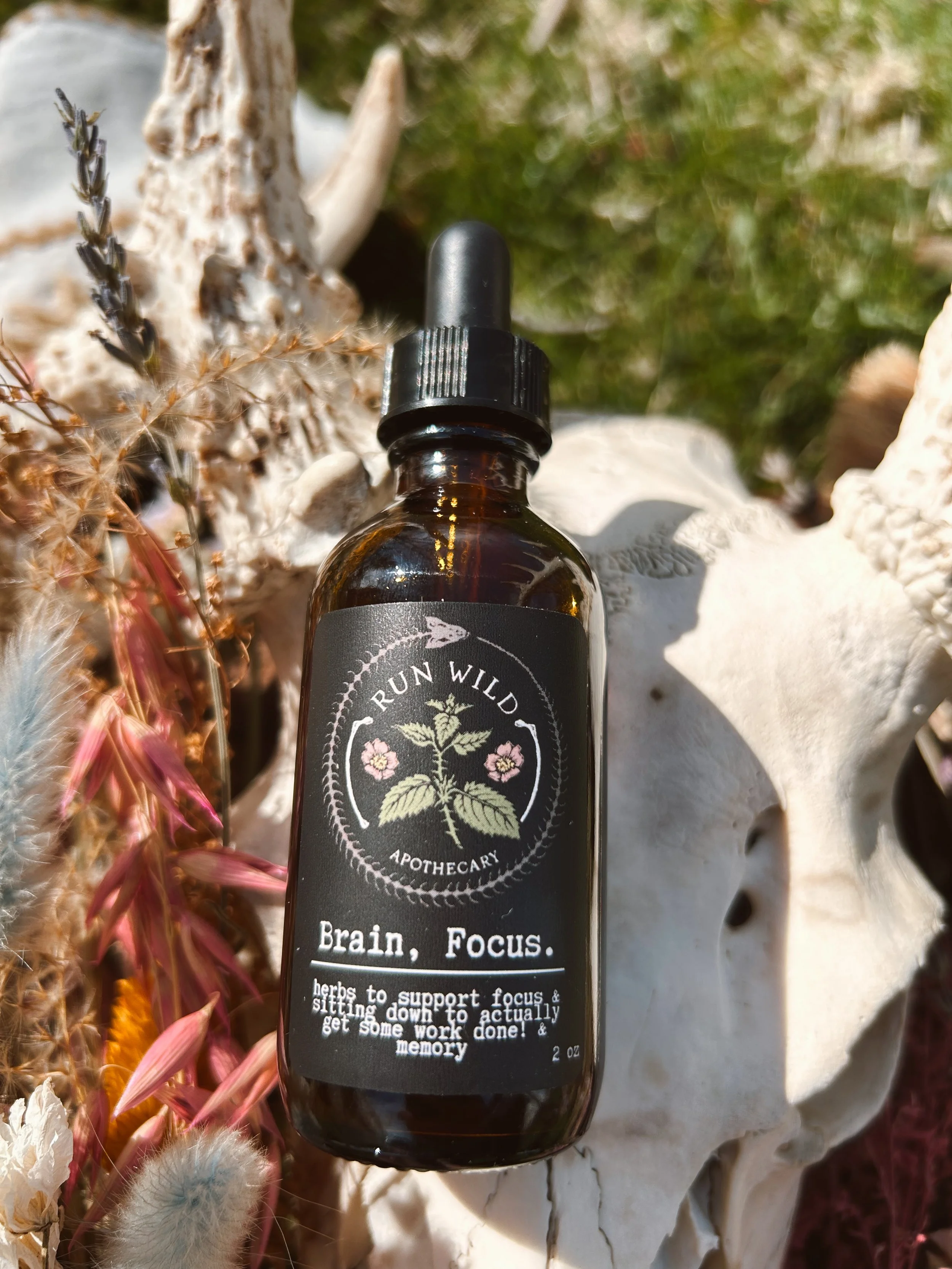 Brain, Focus Tincture Extract