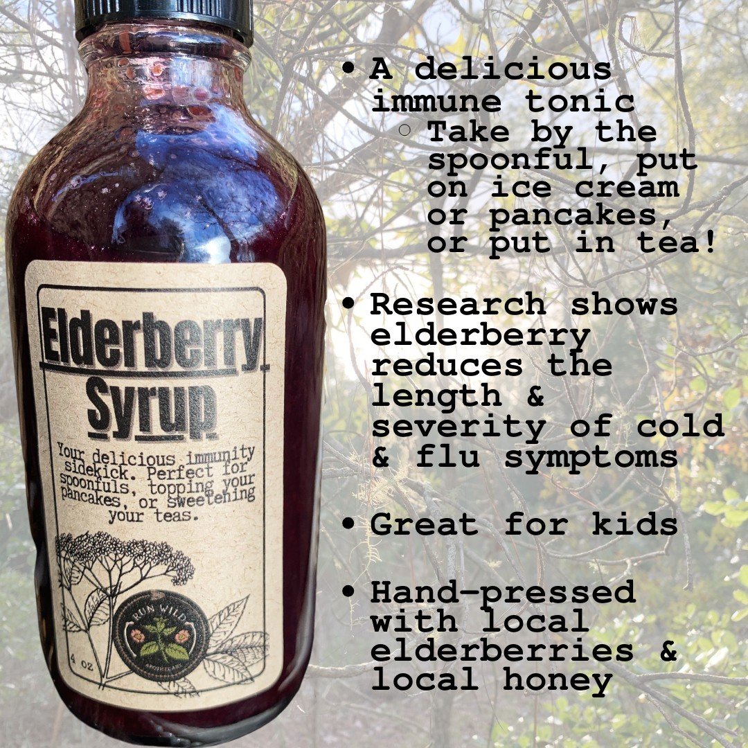 elderberry.jpeg