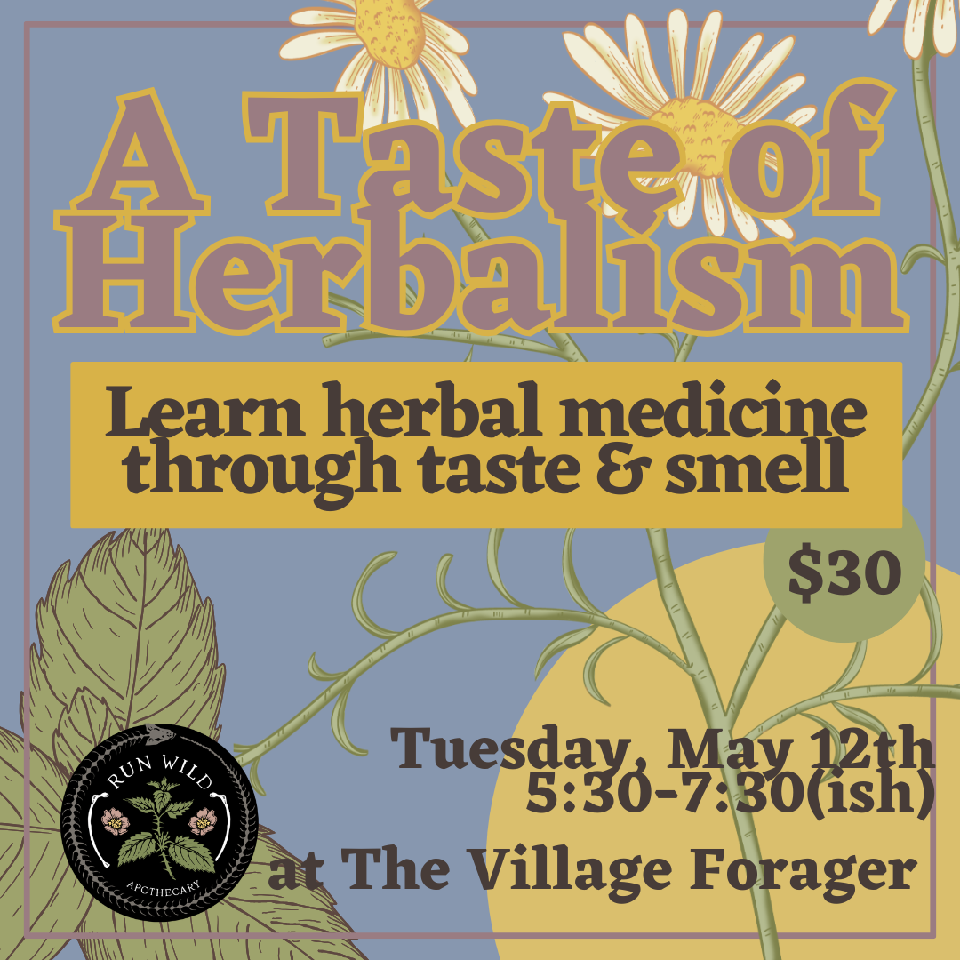 A Taste of Herbalism Class