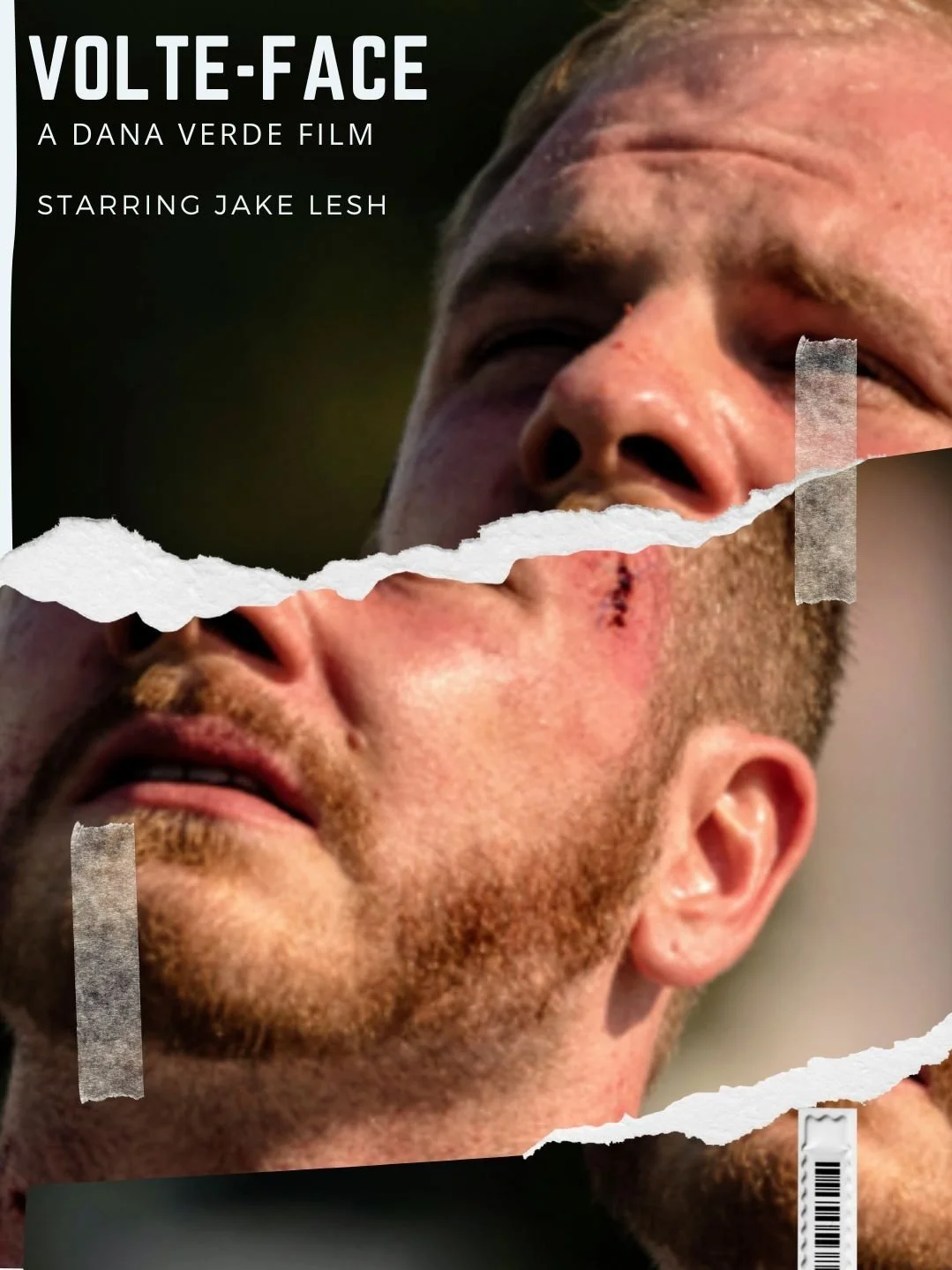 Volte-Face Poster.jpg