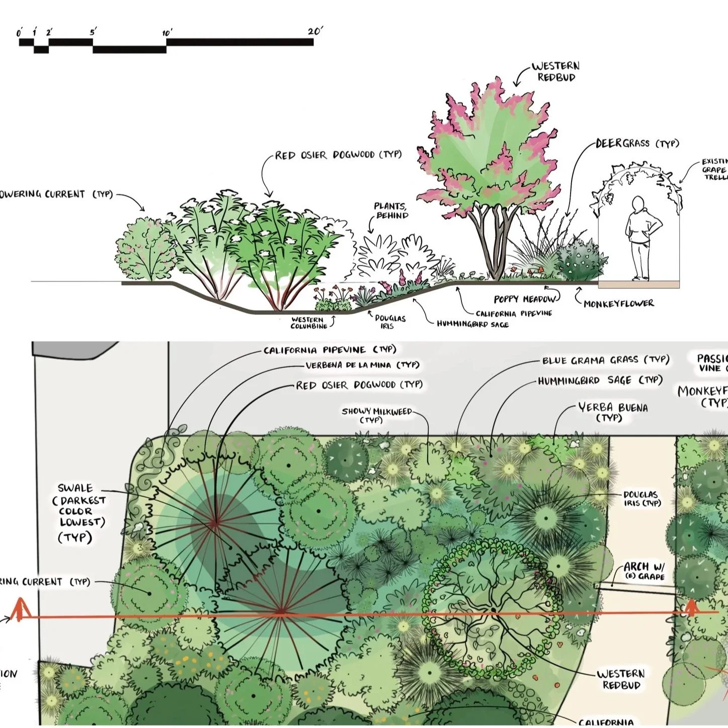 LANDSCAPE DESIGN