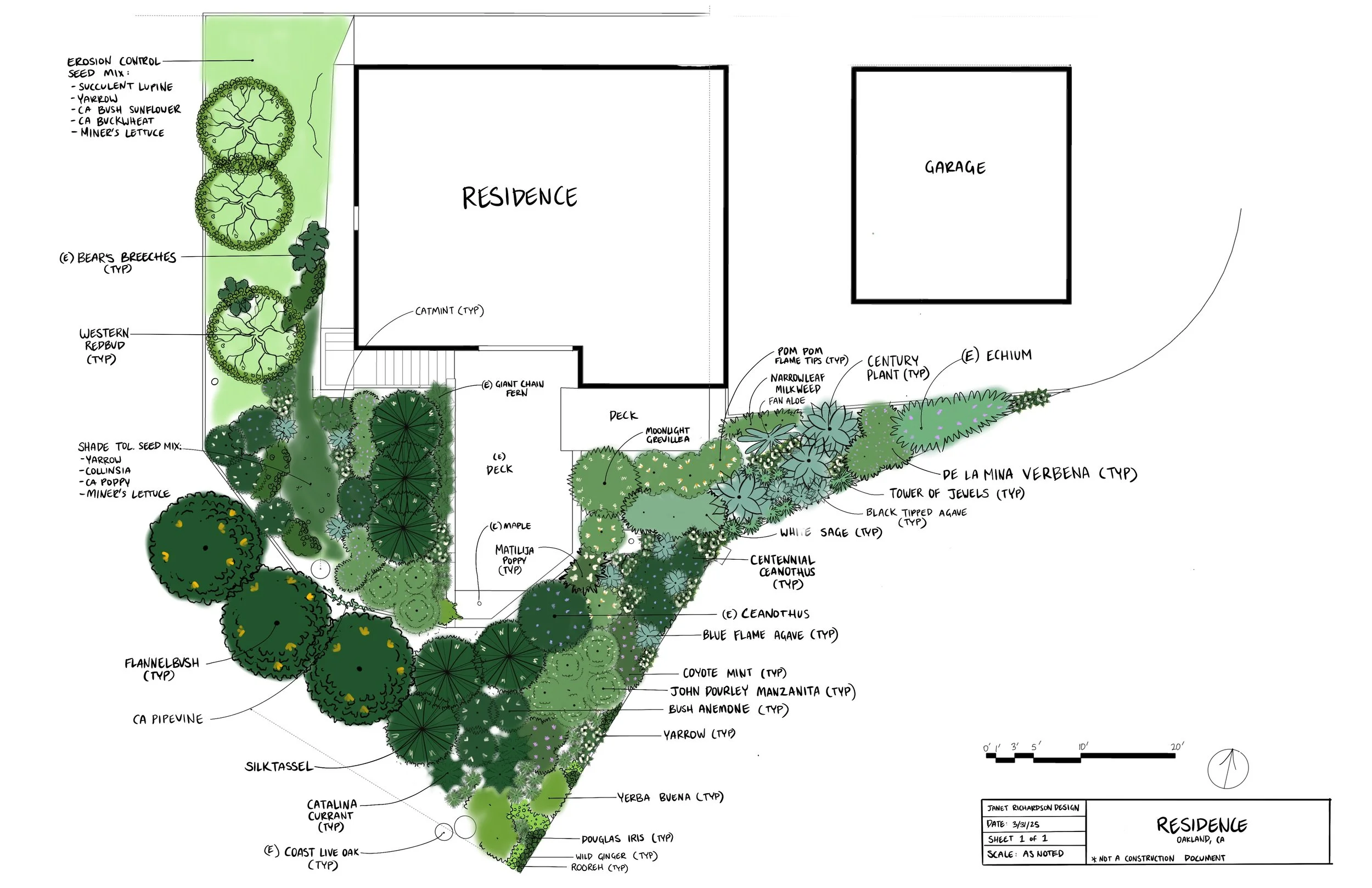 Concept Plan for this slope garden in the Oakland Hills. This garden is a mix of California native and Mediterranean plants that do well in low water conditions. This site has a lot of Coast Live Oak trees and needed plants that could handle dry shad