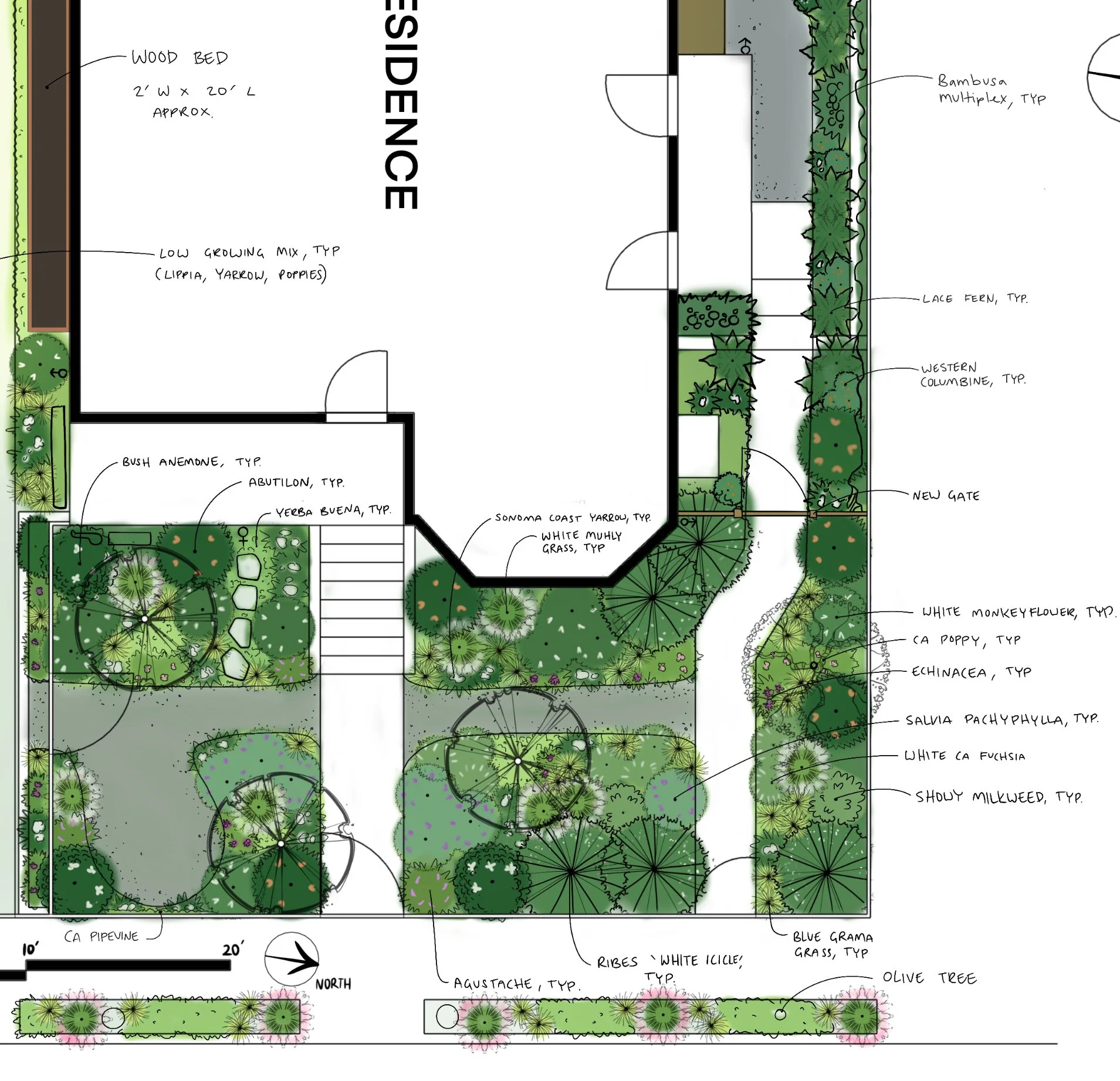 Landscape design plan showing various plants, trees, and garden features around a building with labeled areas, pathways, and a new gate. This Berkeley, California, garden has lots of native plants. This is a cottage style garden.