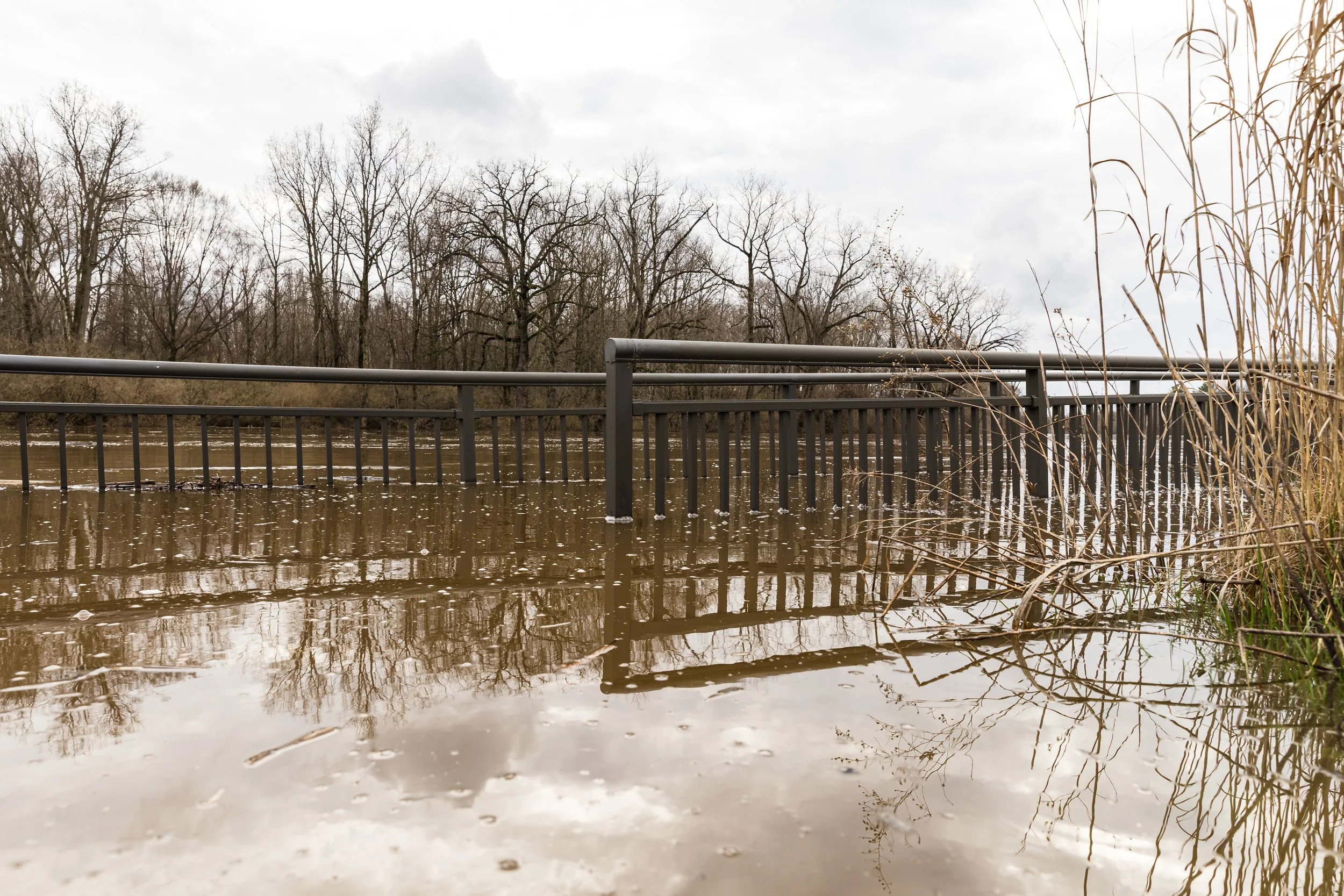 MDN-MidlandFlooding-4.2026-19.jpg