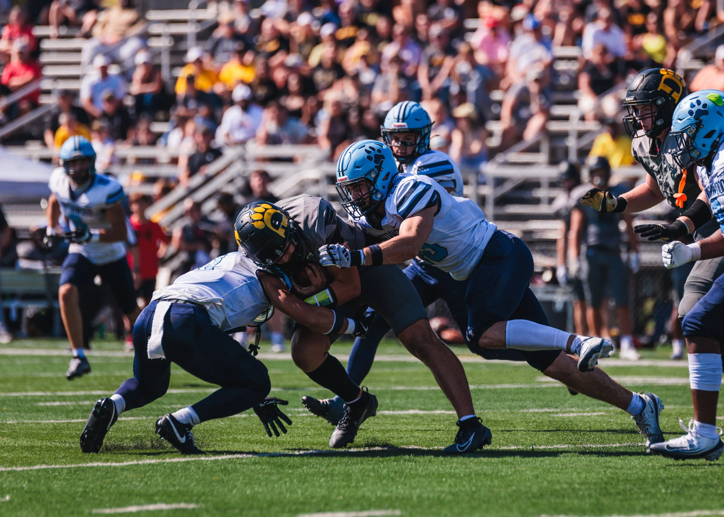 NUFBALL-ODU-1042025-134.jpg