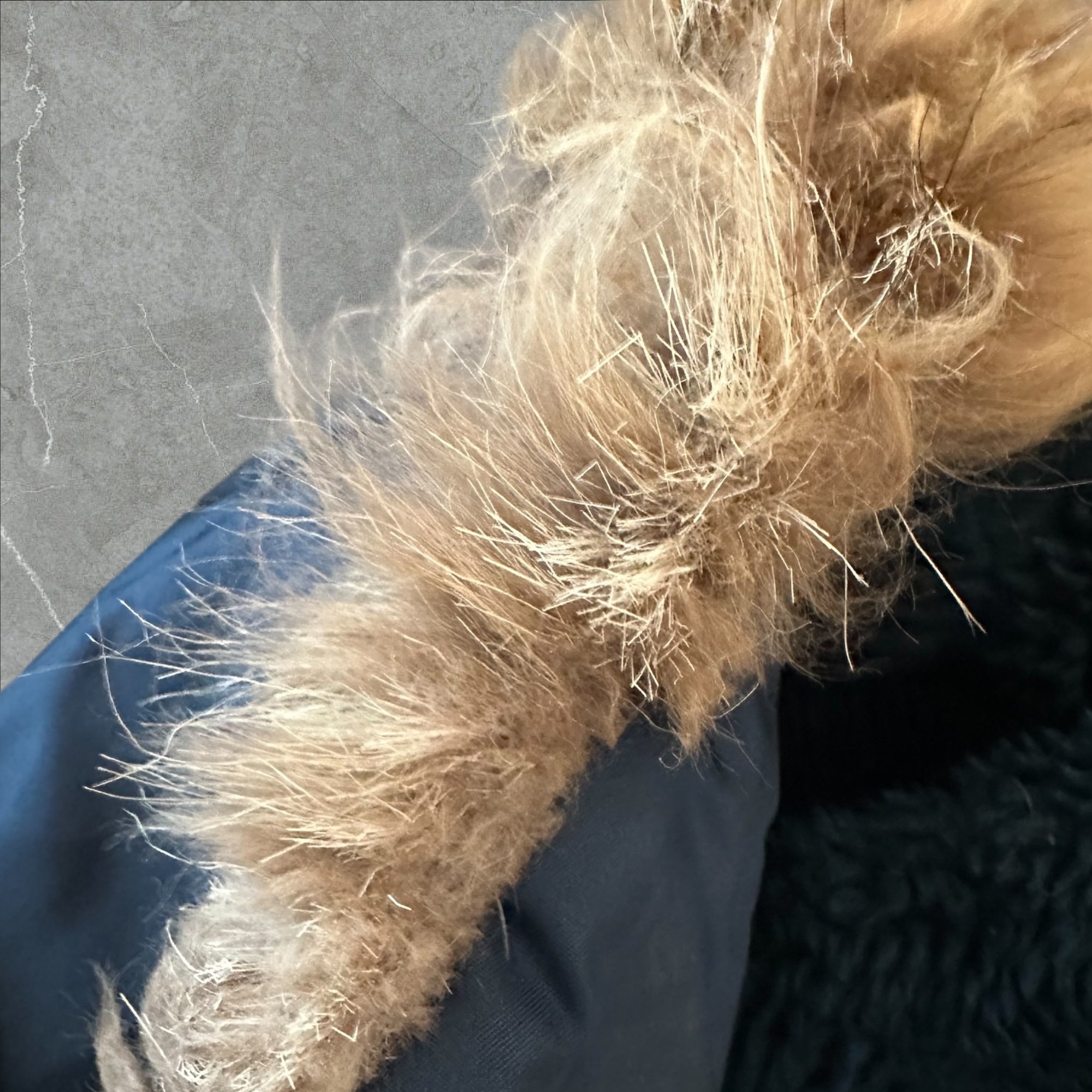 D02E63DE-3141-4BD8-B42D-29AACD1210A1.jpeg
