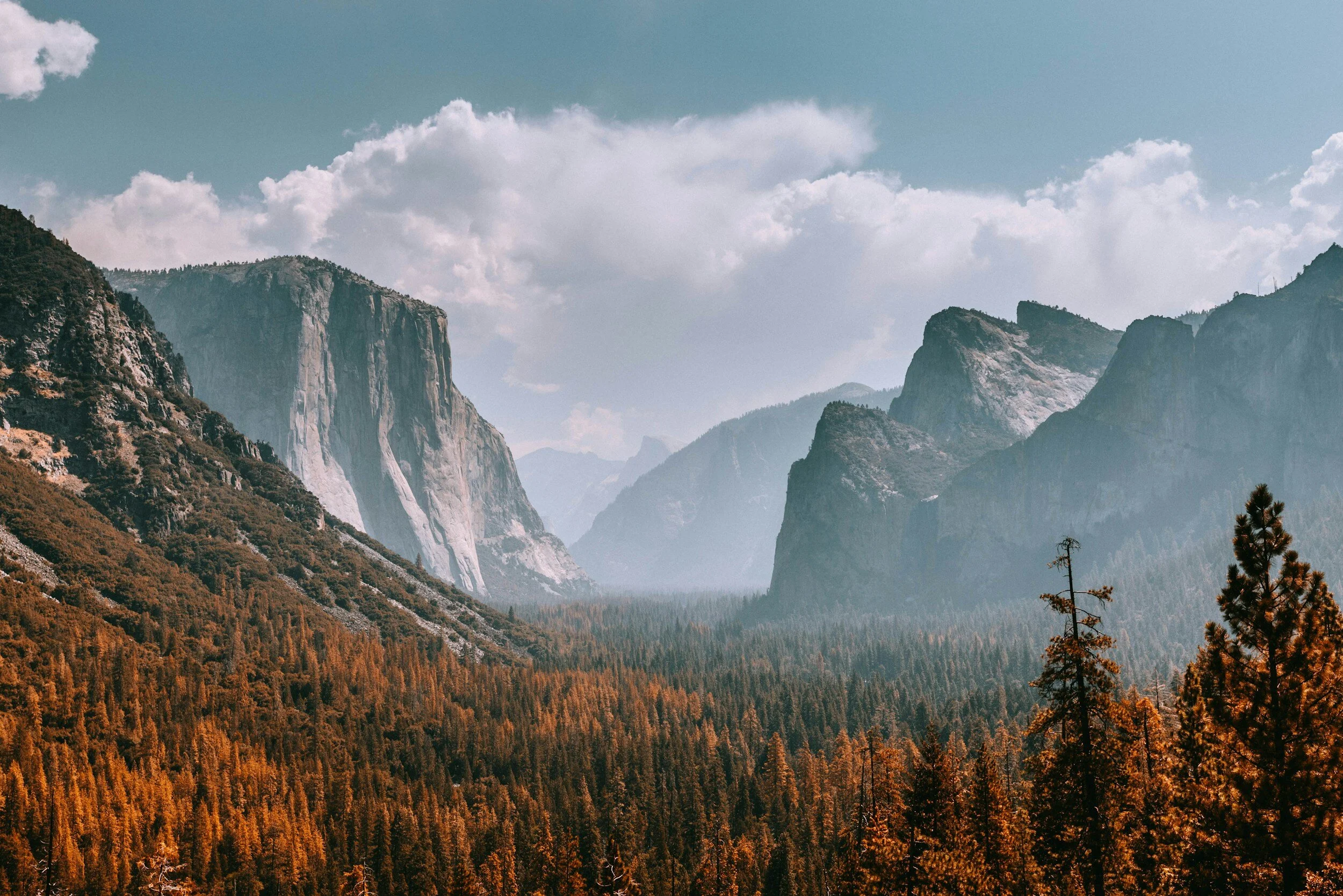 Scenic view of Yosemite Valley with El Capitan, Half Dome, and forest, under a cloudy sky.