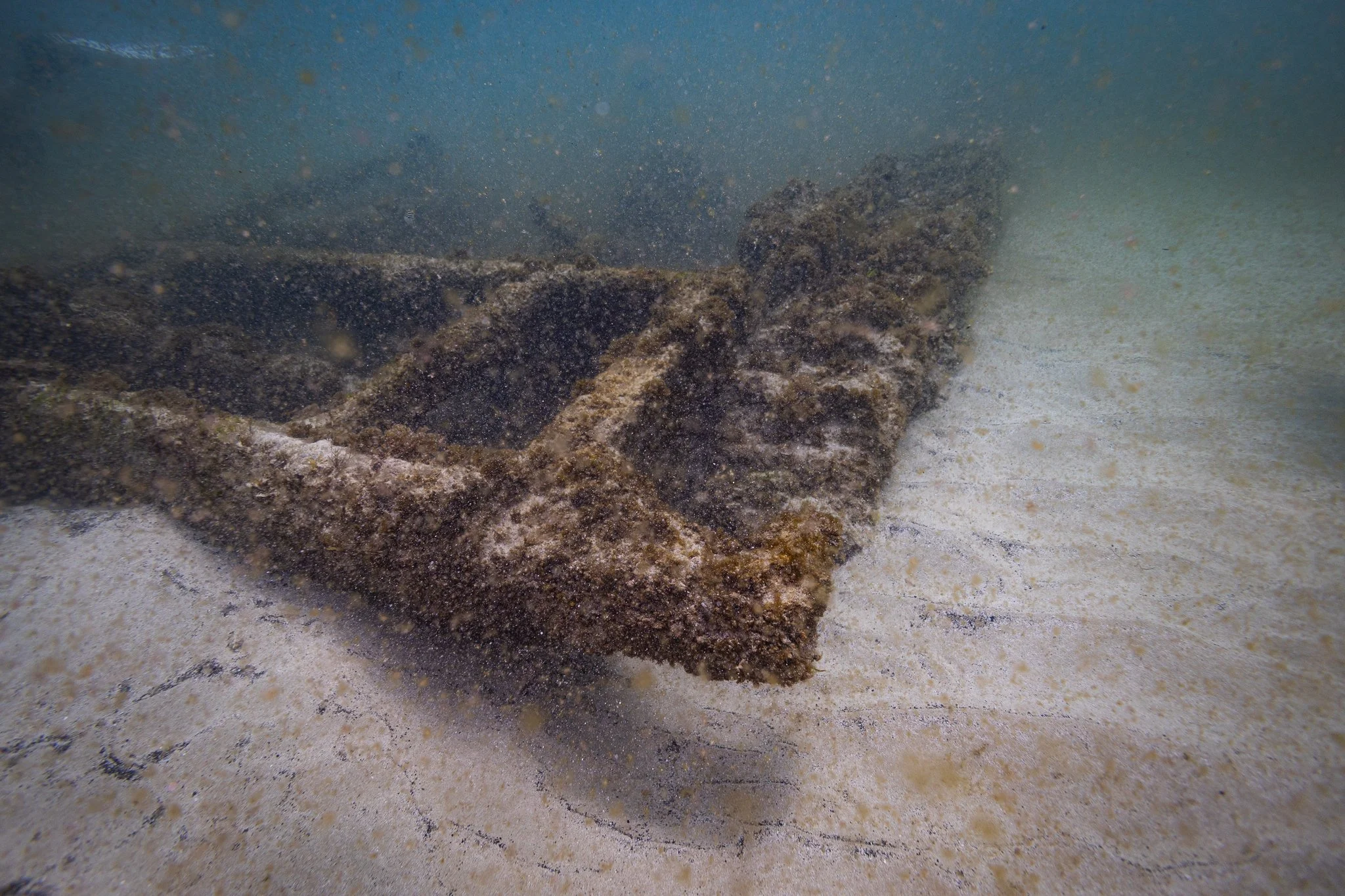 LVT4 Wreck-01.jpg
