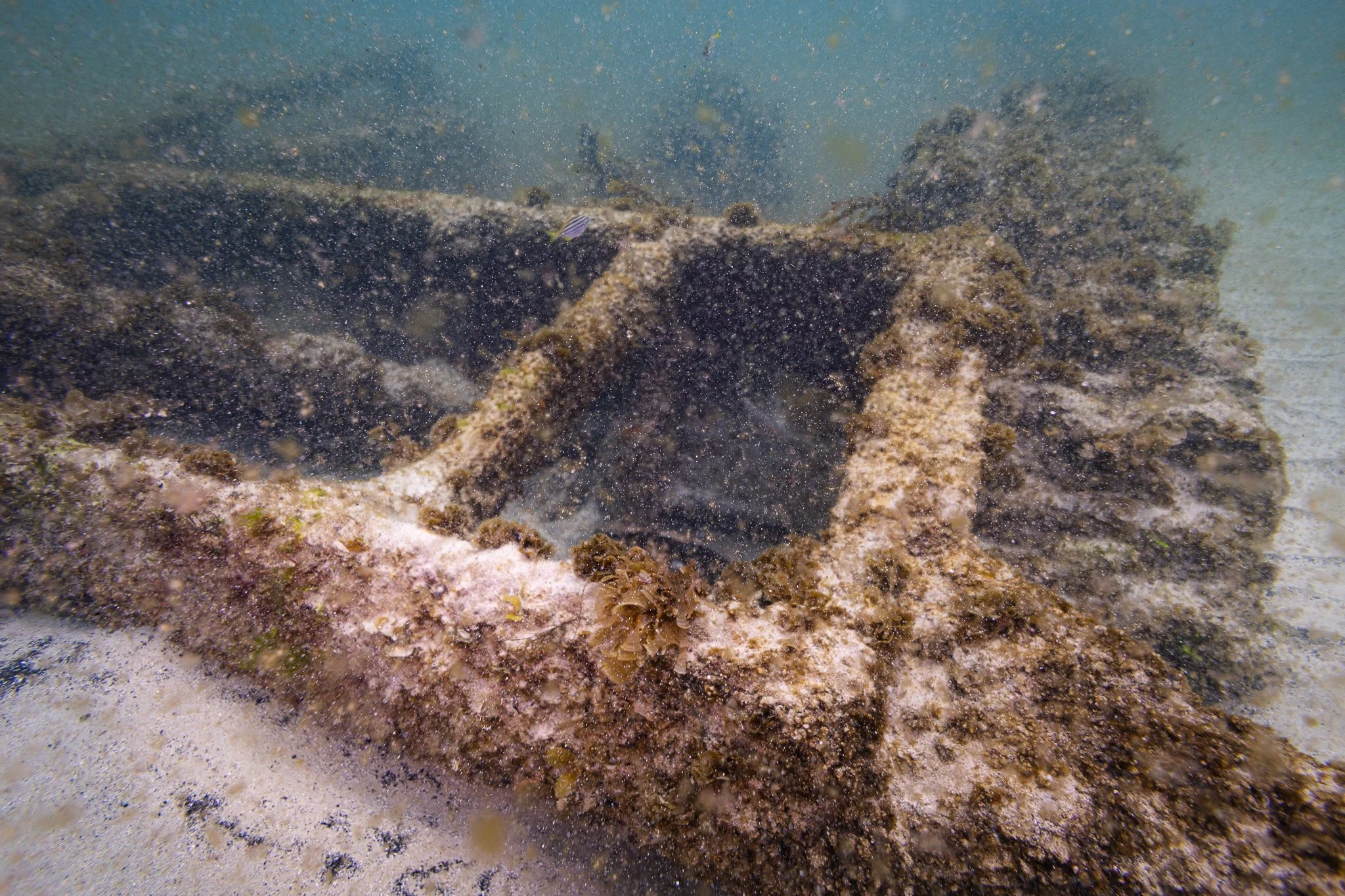 LVT4 Wreck-02.jpg