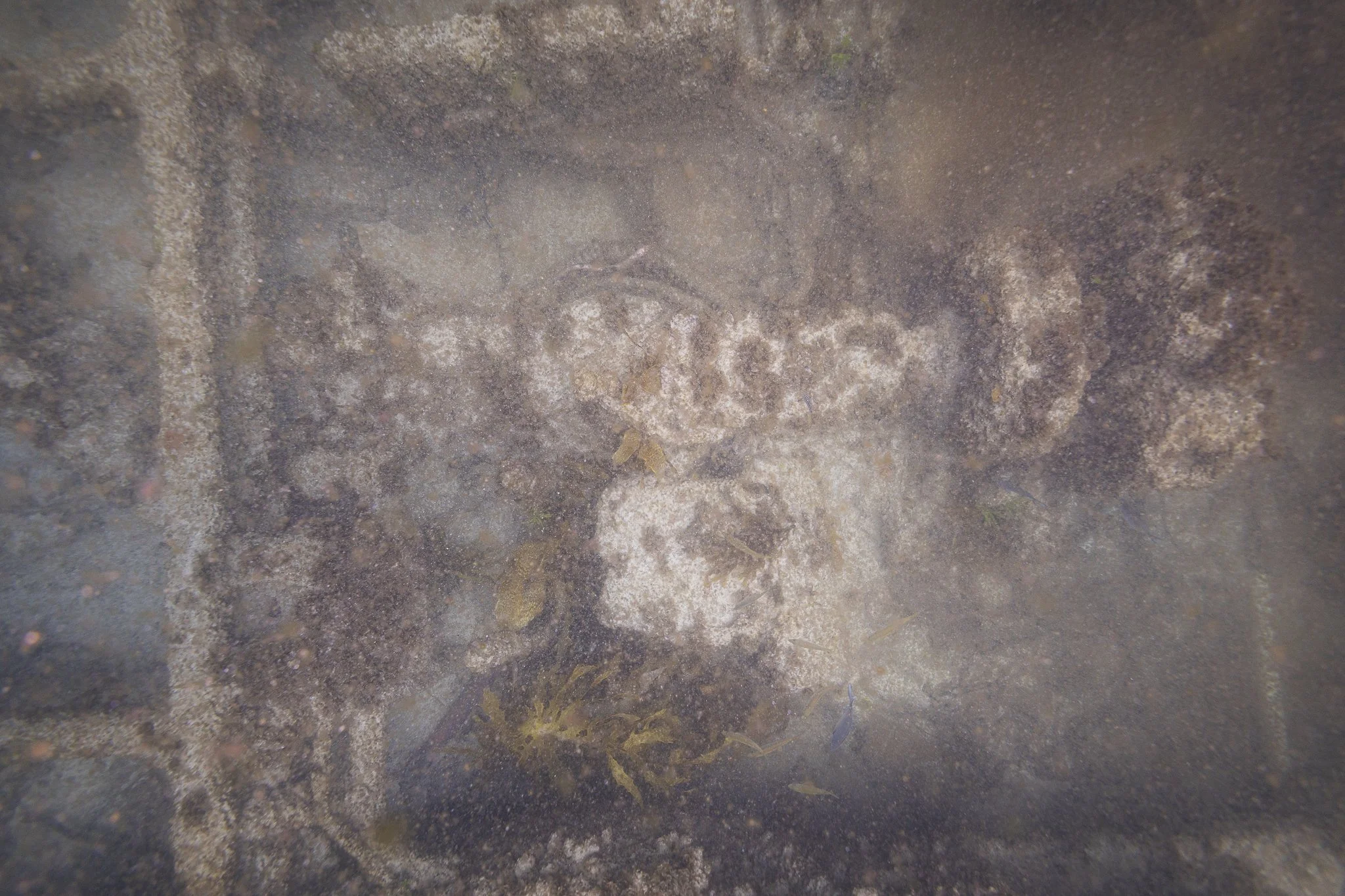 LVT4 Wreck-03.jpg