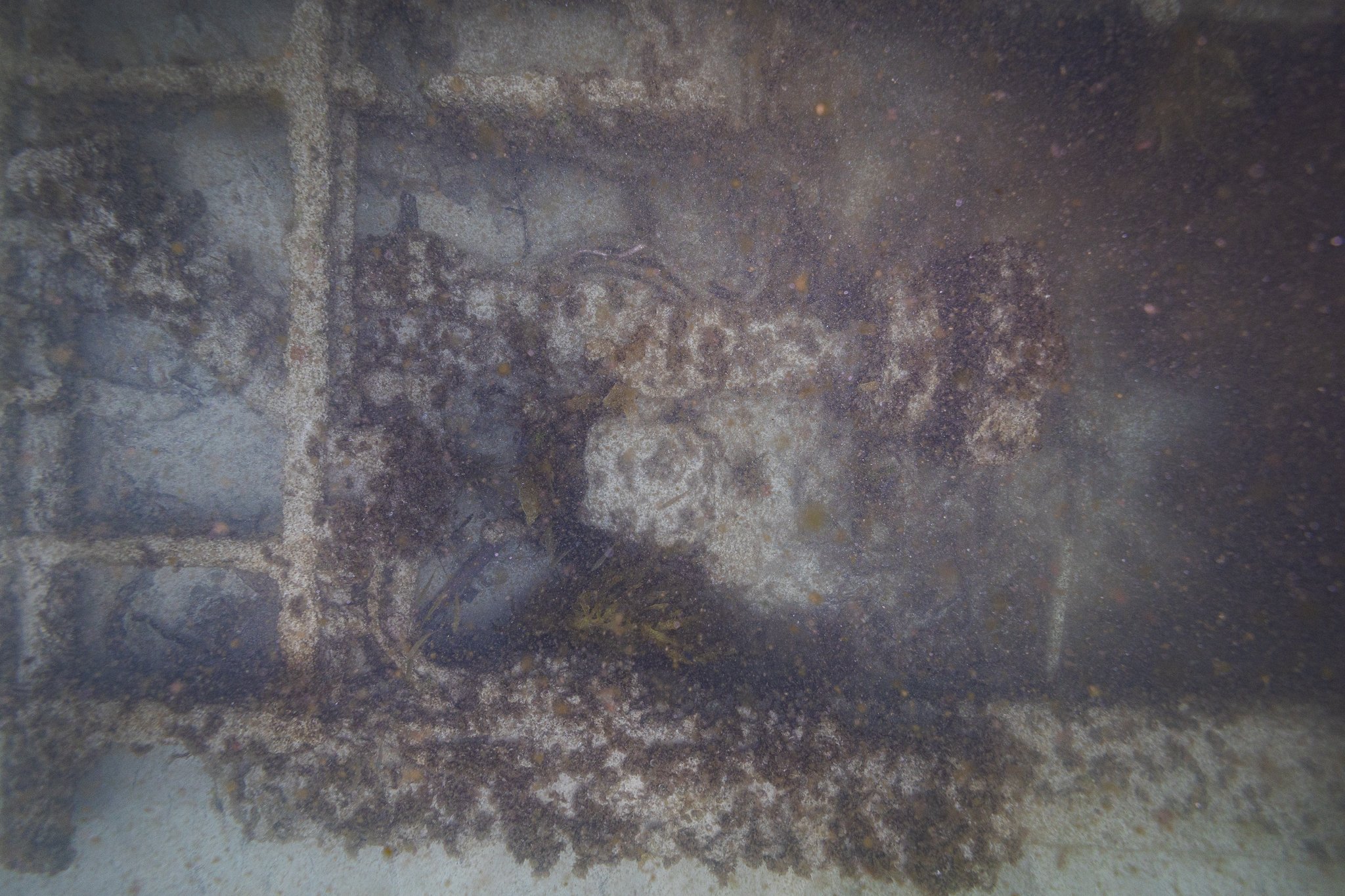 LVT4 Wreck-05.jpg