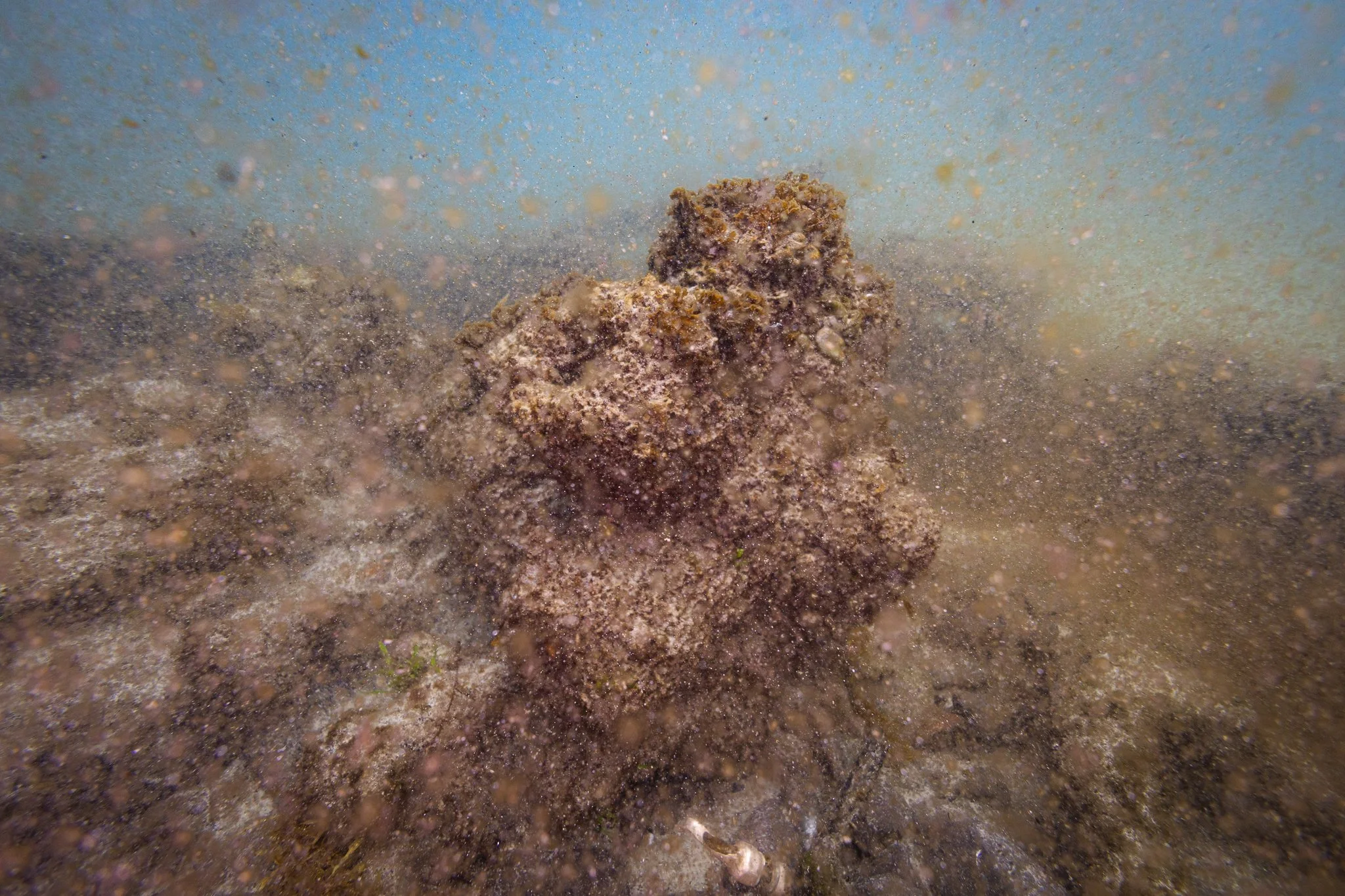 LVT4 Wreck-10.jpg