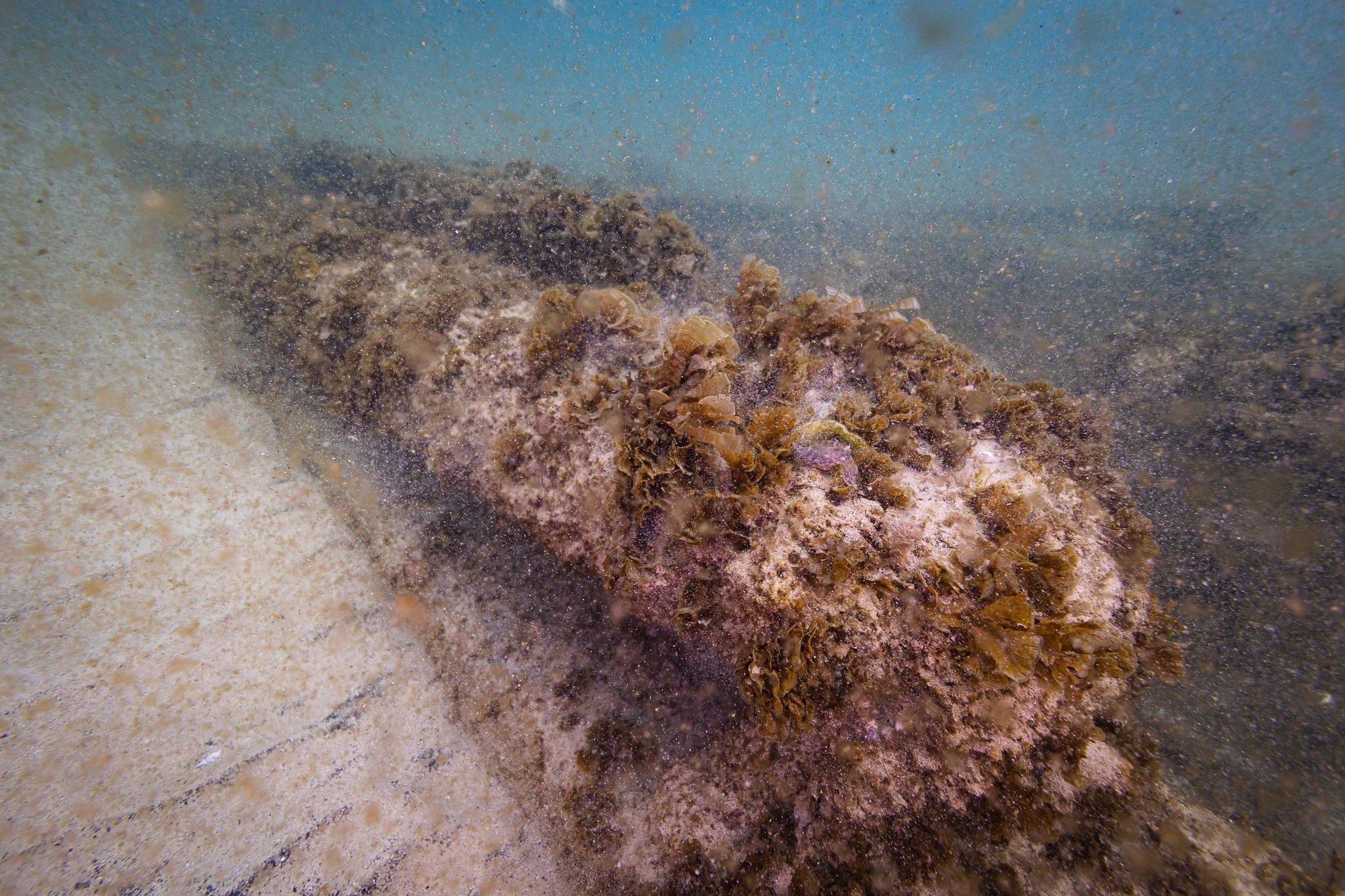 LVT4 Wreck-11.jpg