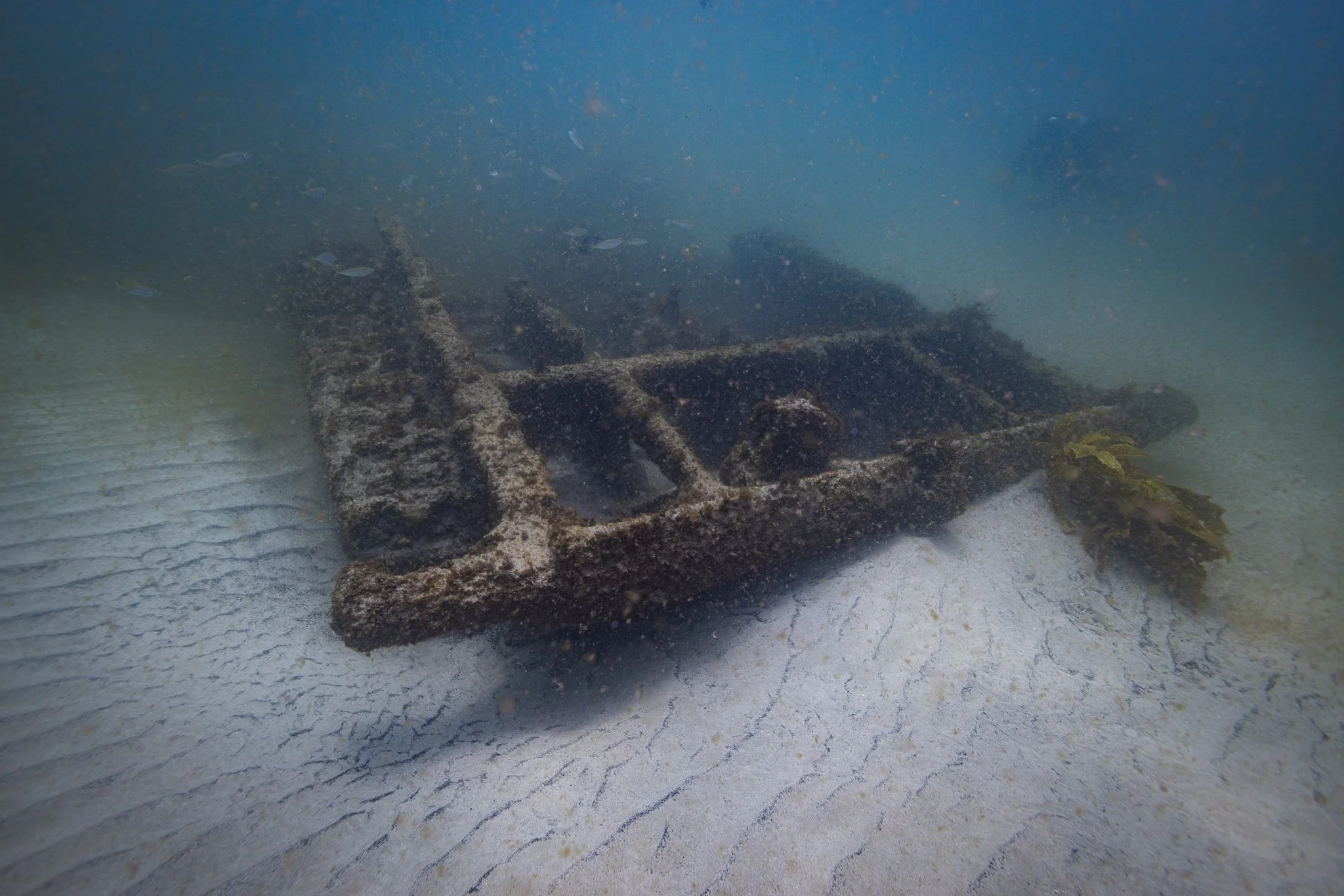 LVT4 Wreck-15.jpg