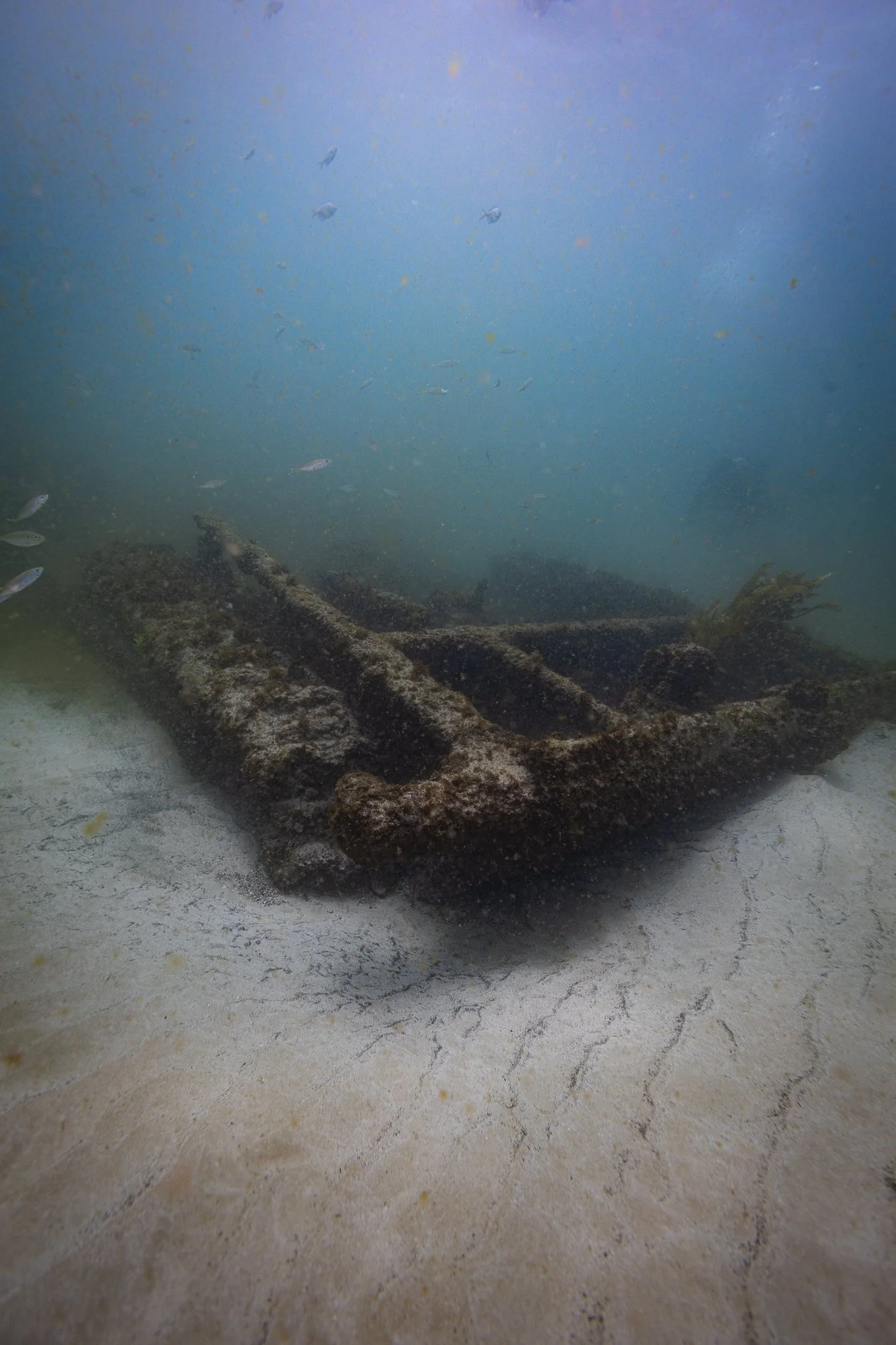 LVT4 Wreck-16.jpg