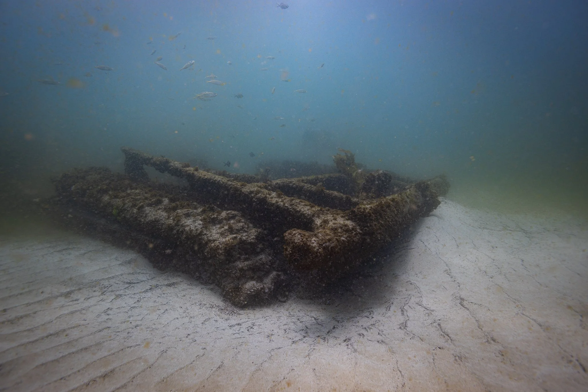 LVT4 Wreck-17.jpg