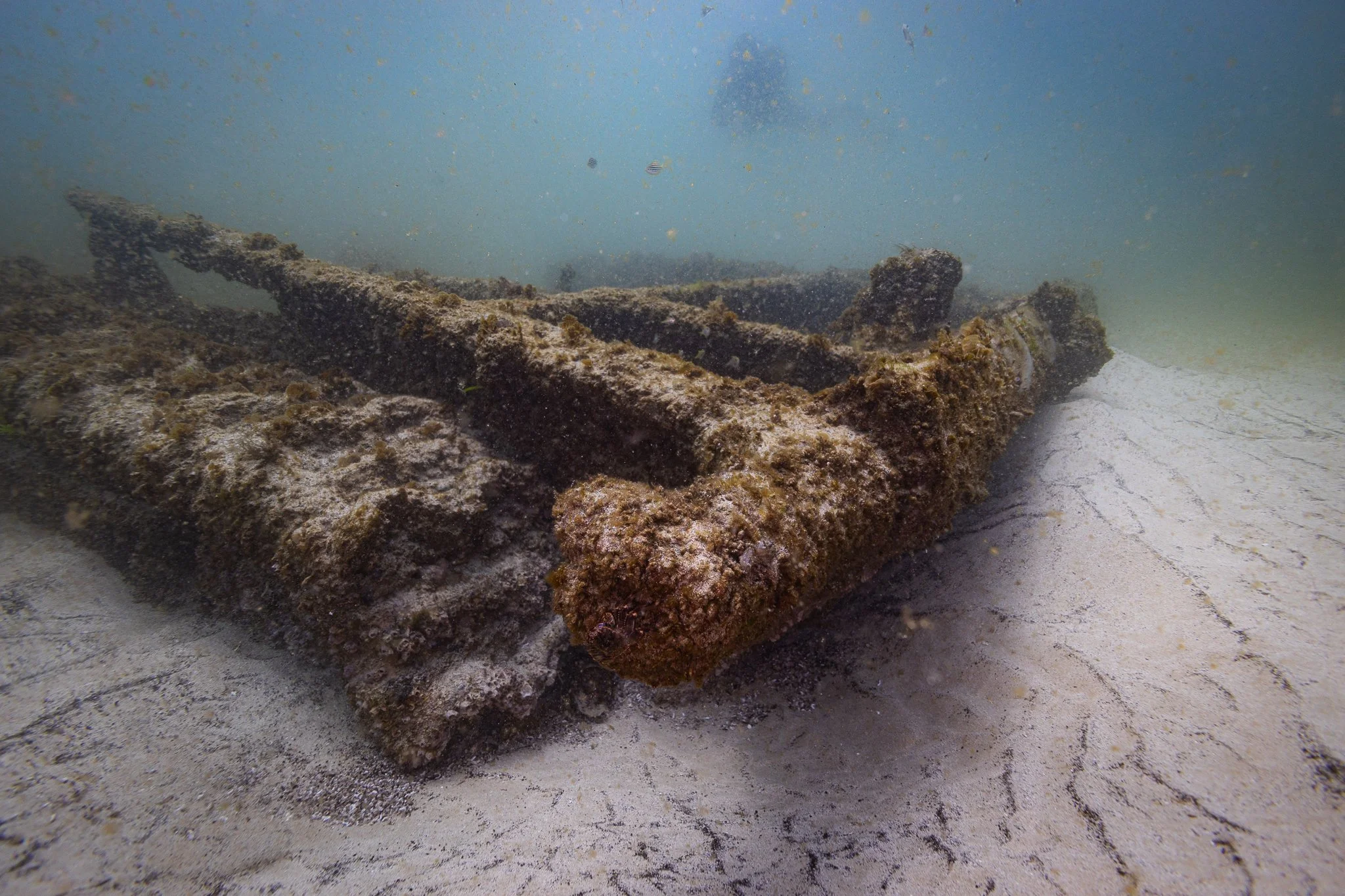 LVT4 Wreck-18.jpg