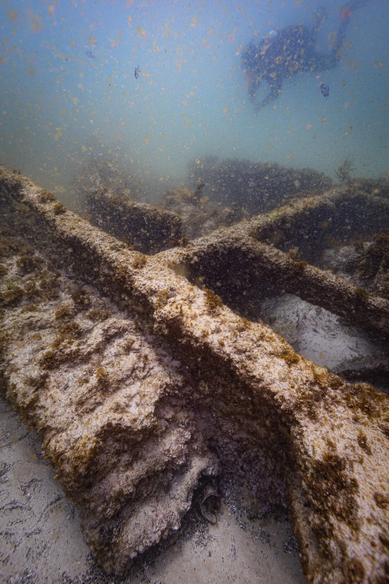 LVT4 Wreck-20.jpg