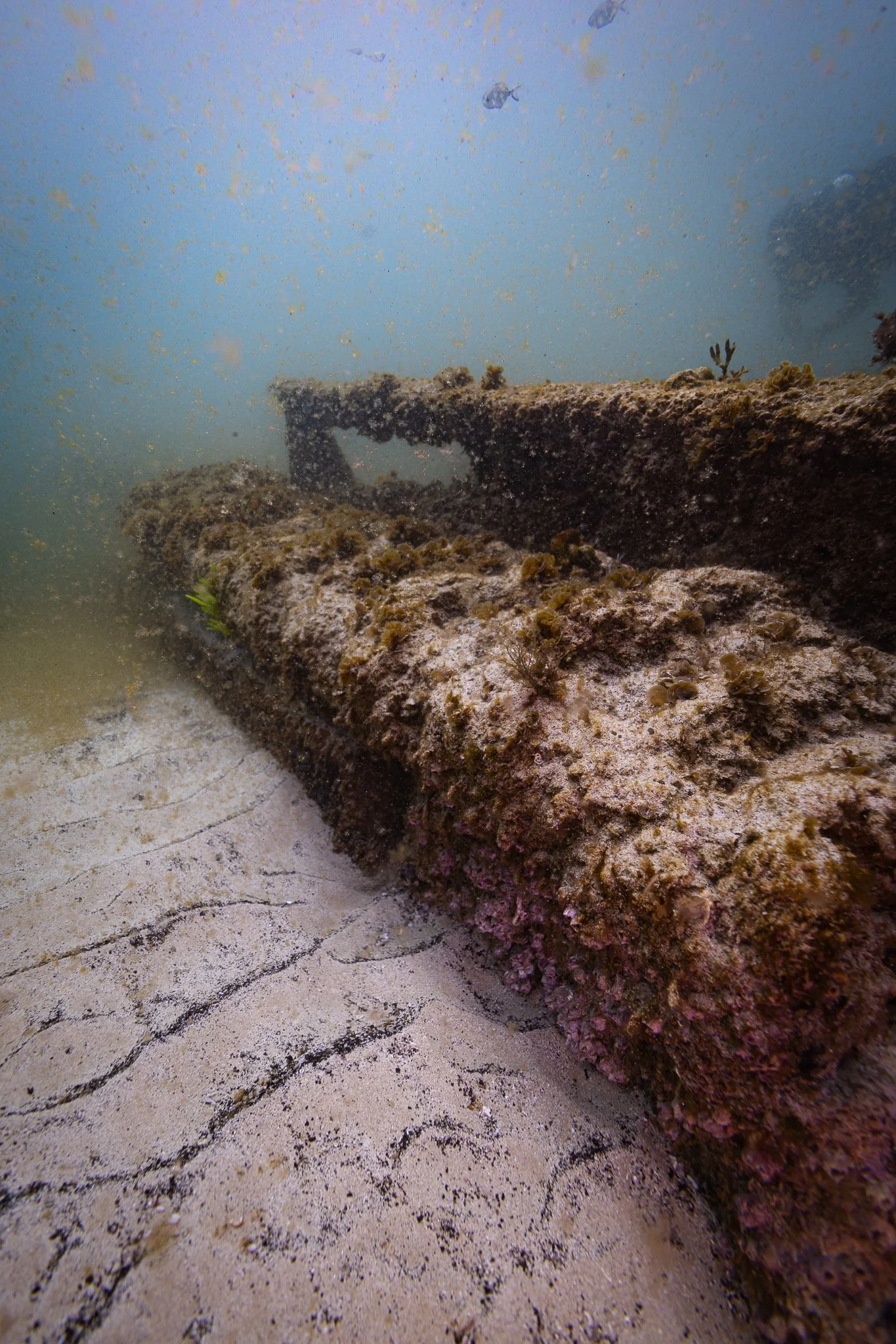 LVT4 Wreck-21.jpg