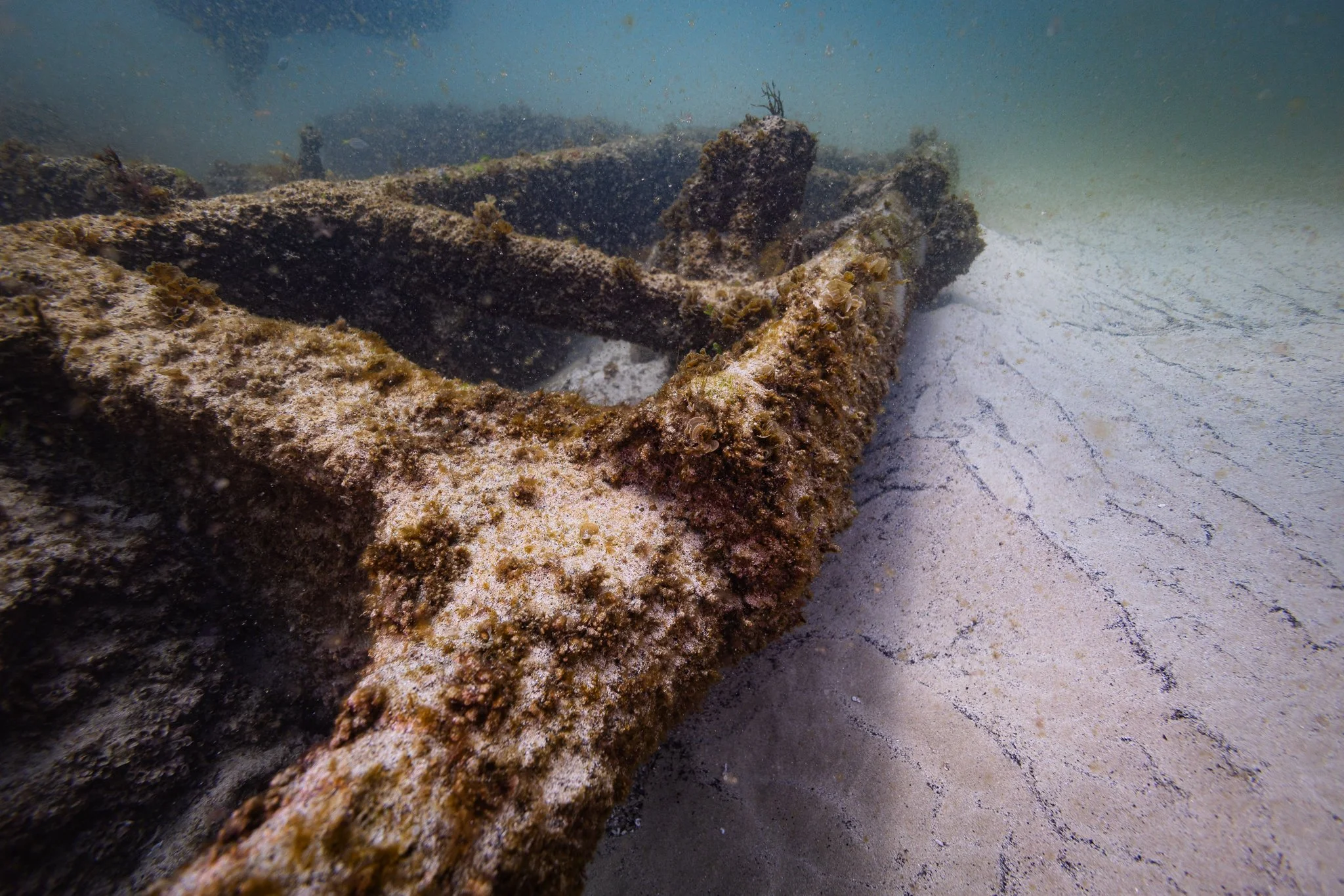 LVT4 Wreck-22.jpg