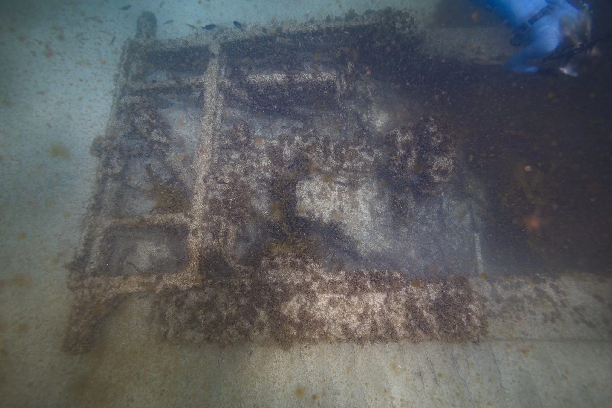 LVT4 Wreck-27.jpg