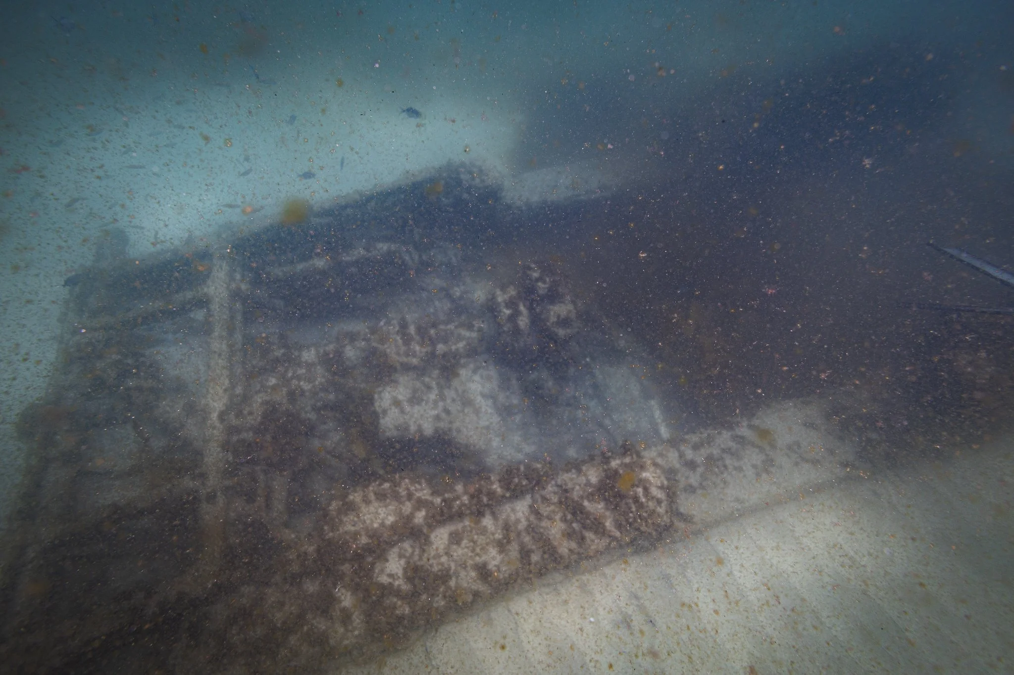 LVT4 Wreck-28.jpg