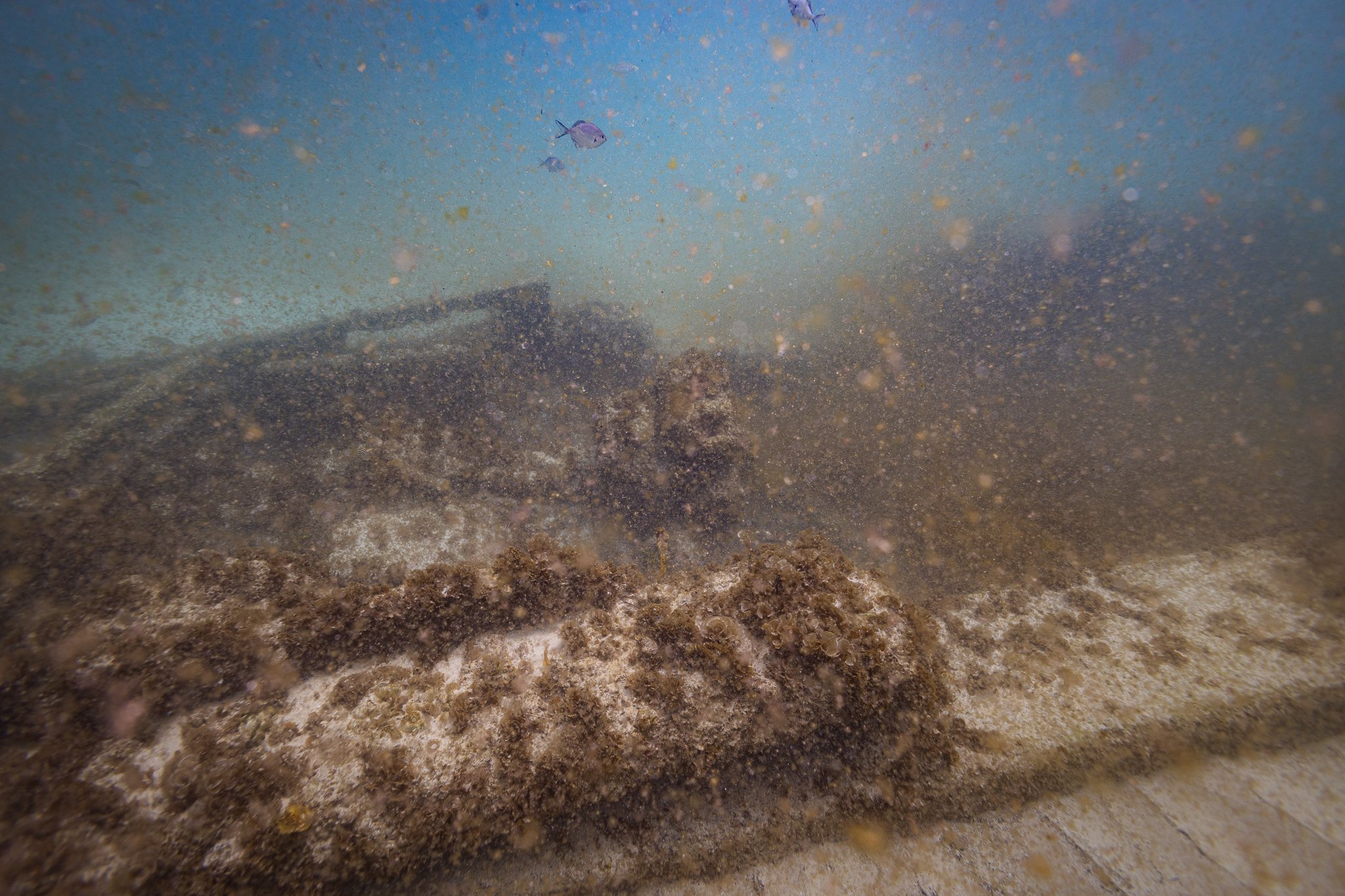 LVT4 Wreck-29.jpg