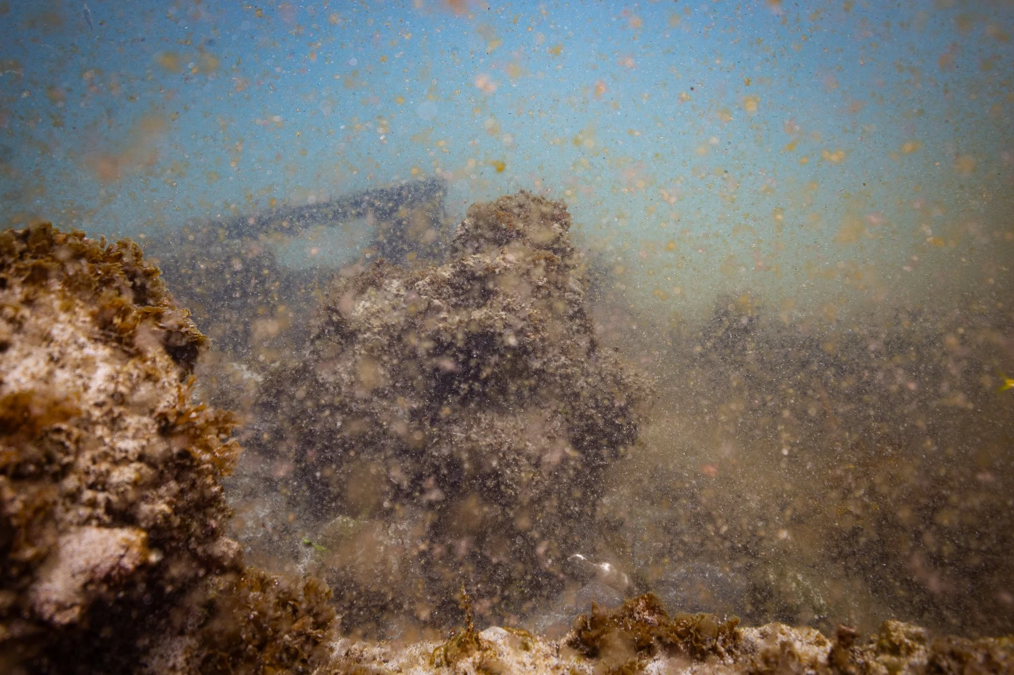 LVT4 Wreck-30.jpg