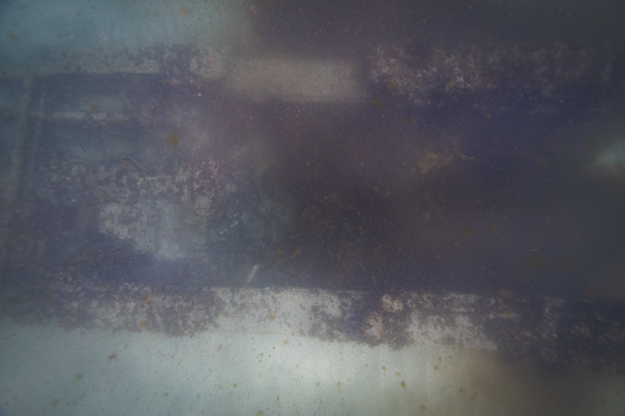 LVT4 Wreck-31.jpg