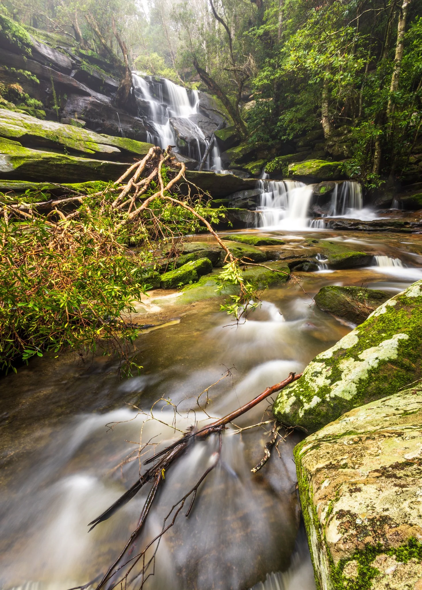 Somersby Falls_-3.jpg