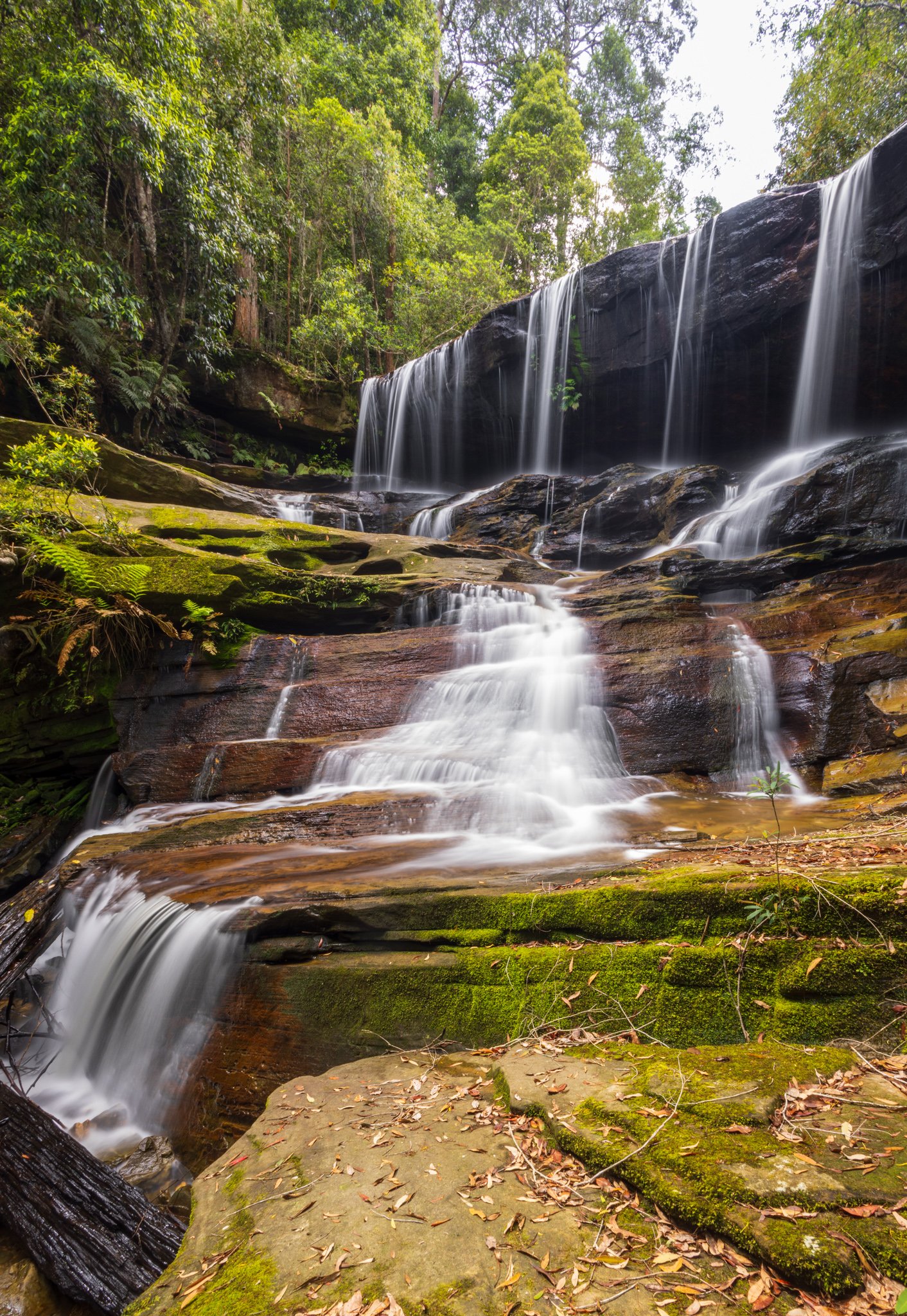Somersby Falls_-5.jpg